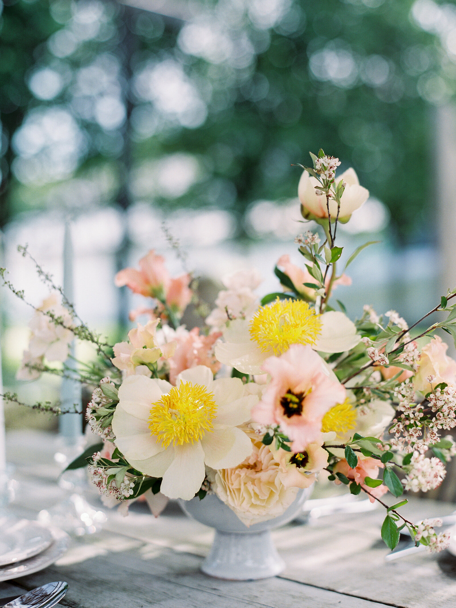 lemonwood_anna_laero_photography-19