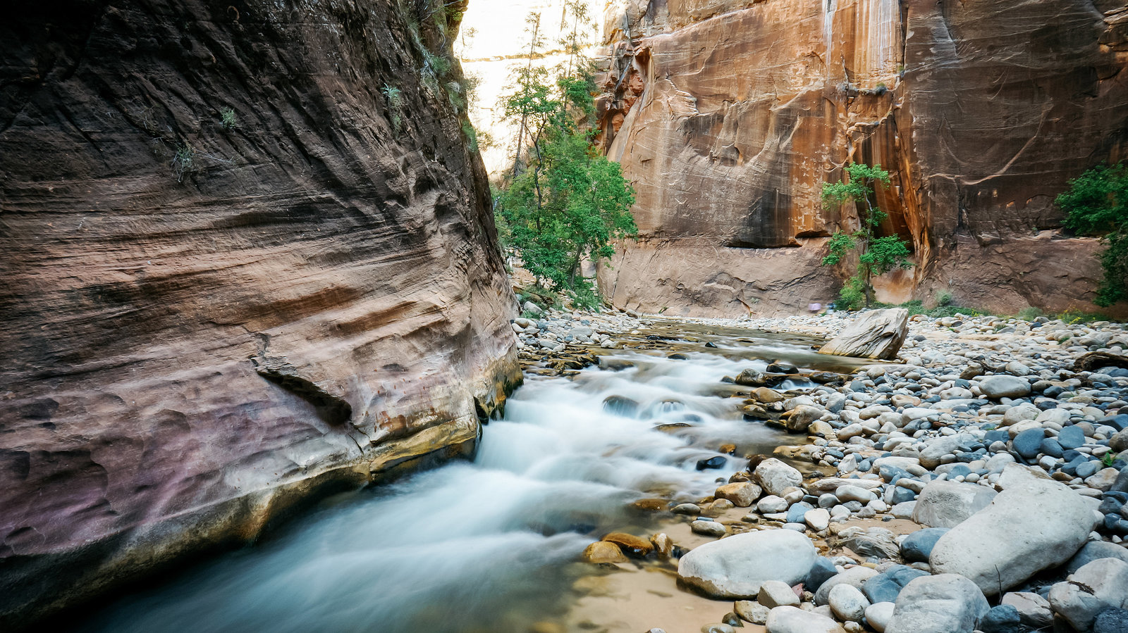 Sasha_Reiko_Photography_Travel_Utah_Arches_Canyon_Lands_Zion_Grand_Canyon-54
