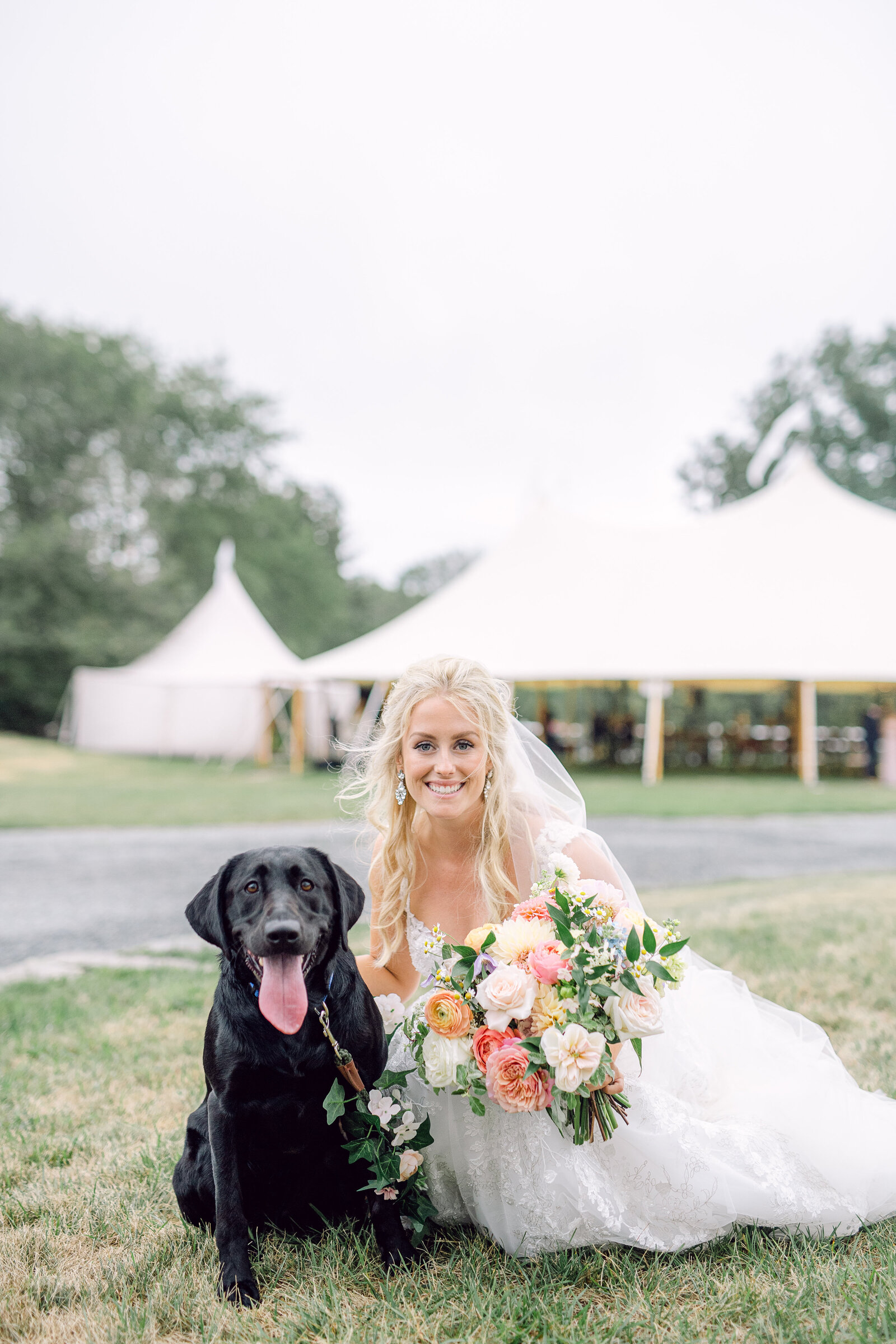 wedding_dog_4