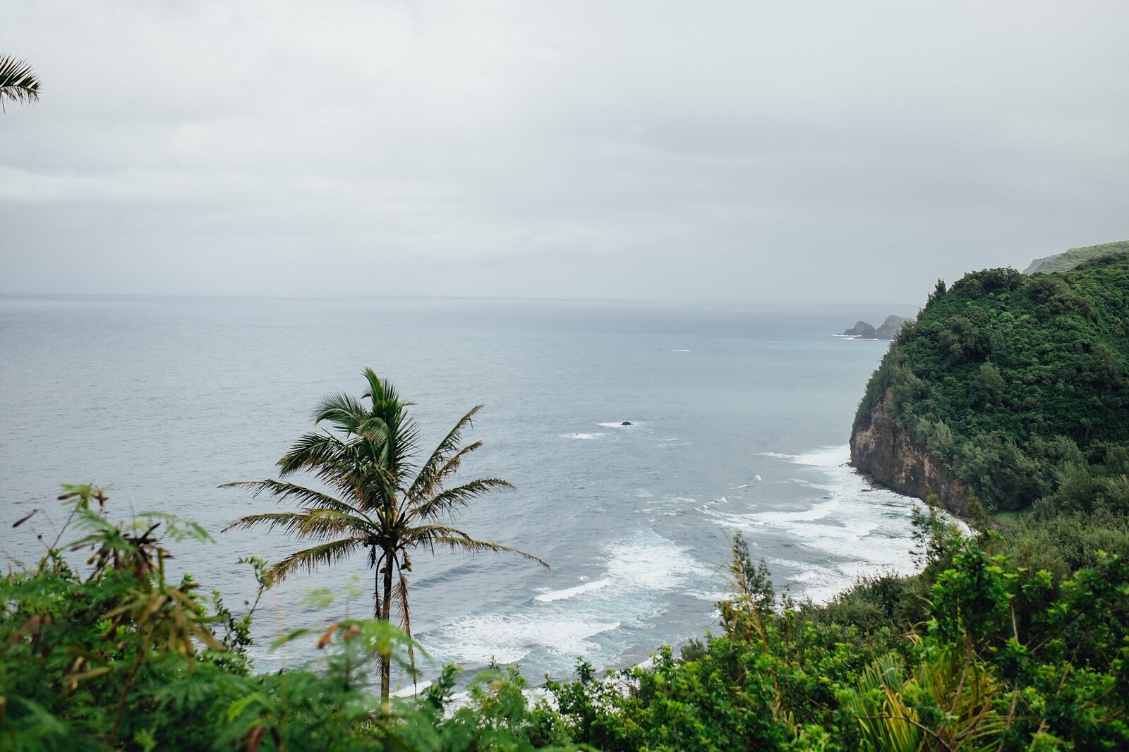 views of pololu valley from the overlook