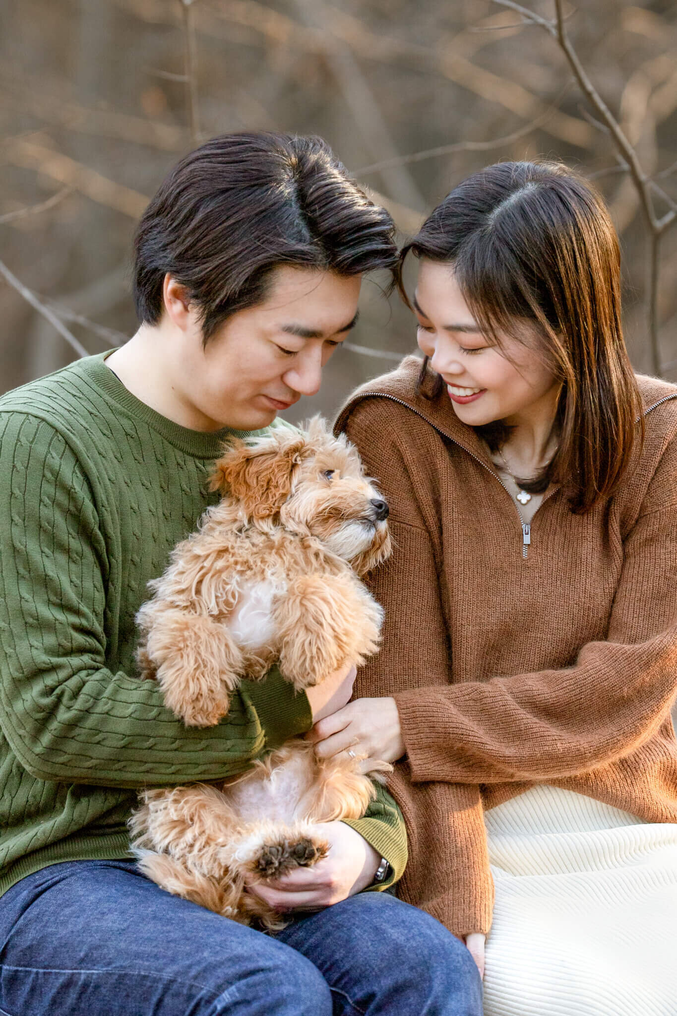 Golden Doodle puppy snuggling with his parents