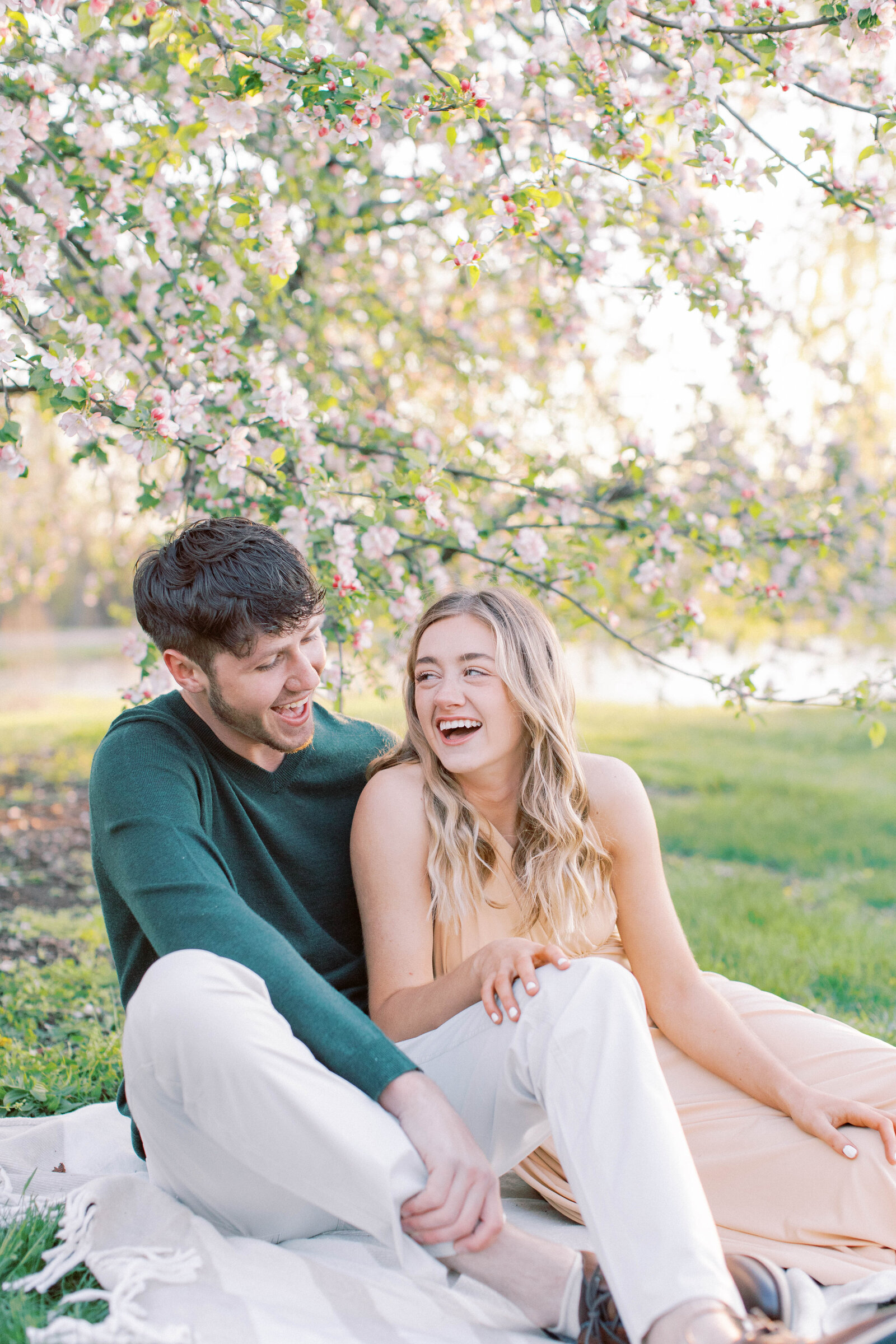 Couple sit under apple blossom tree at Cider Hill Family Orchard
