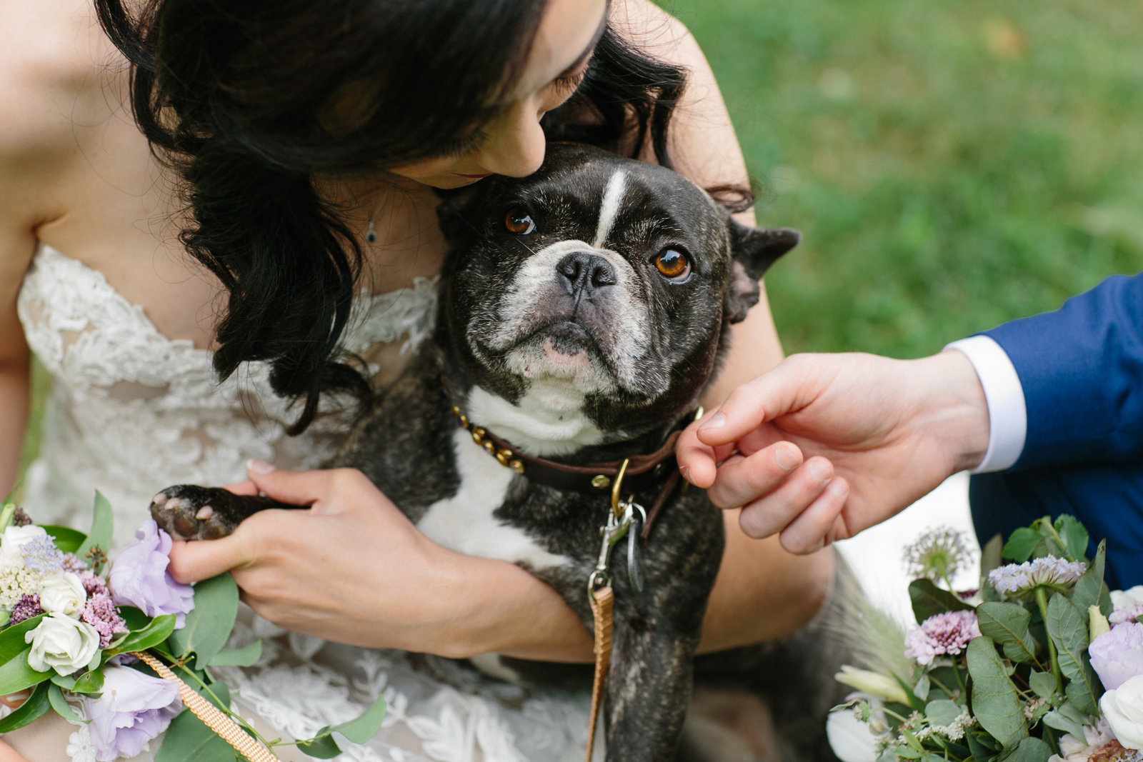 Philadelphia couple's dog made it into the wedding at Grace Winery.