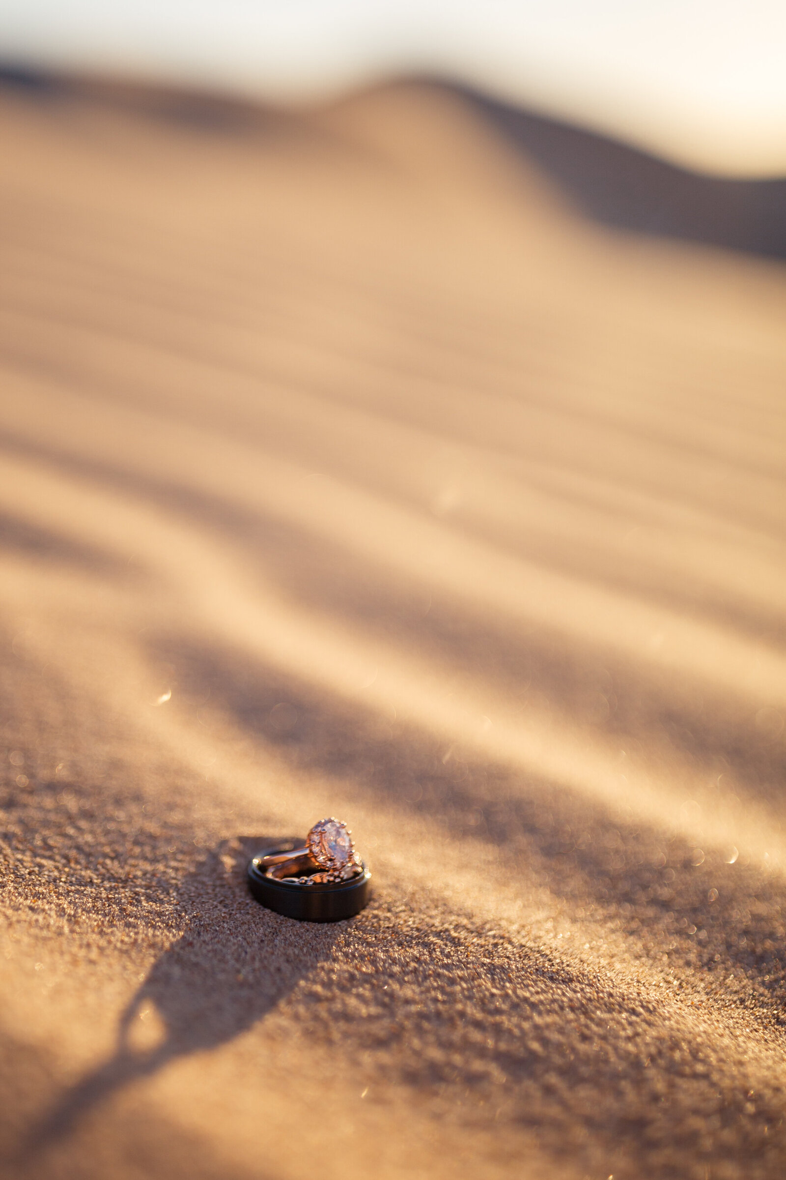 wedding rings in the california sand dunes
