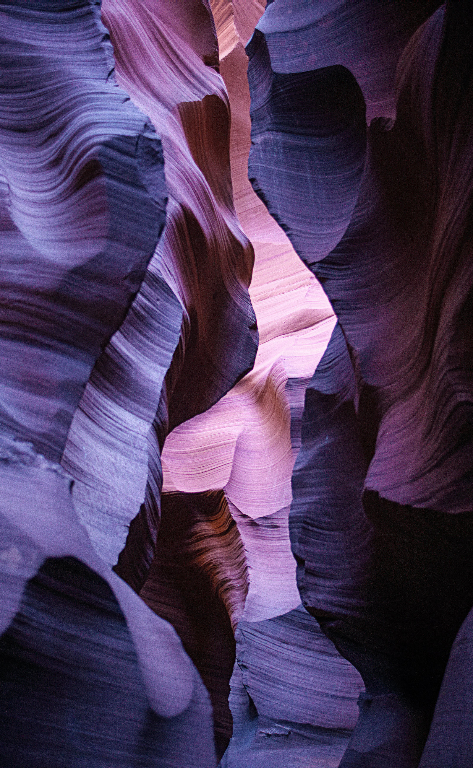 Sasha_Reiko_Photography_Travel_Utah_Arches_Canyon_Lands_Zion_Grand_Canyon-45
