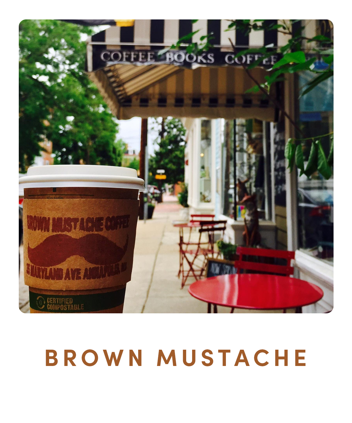 annapolis-coffee-shops-Brown-Mustache