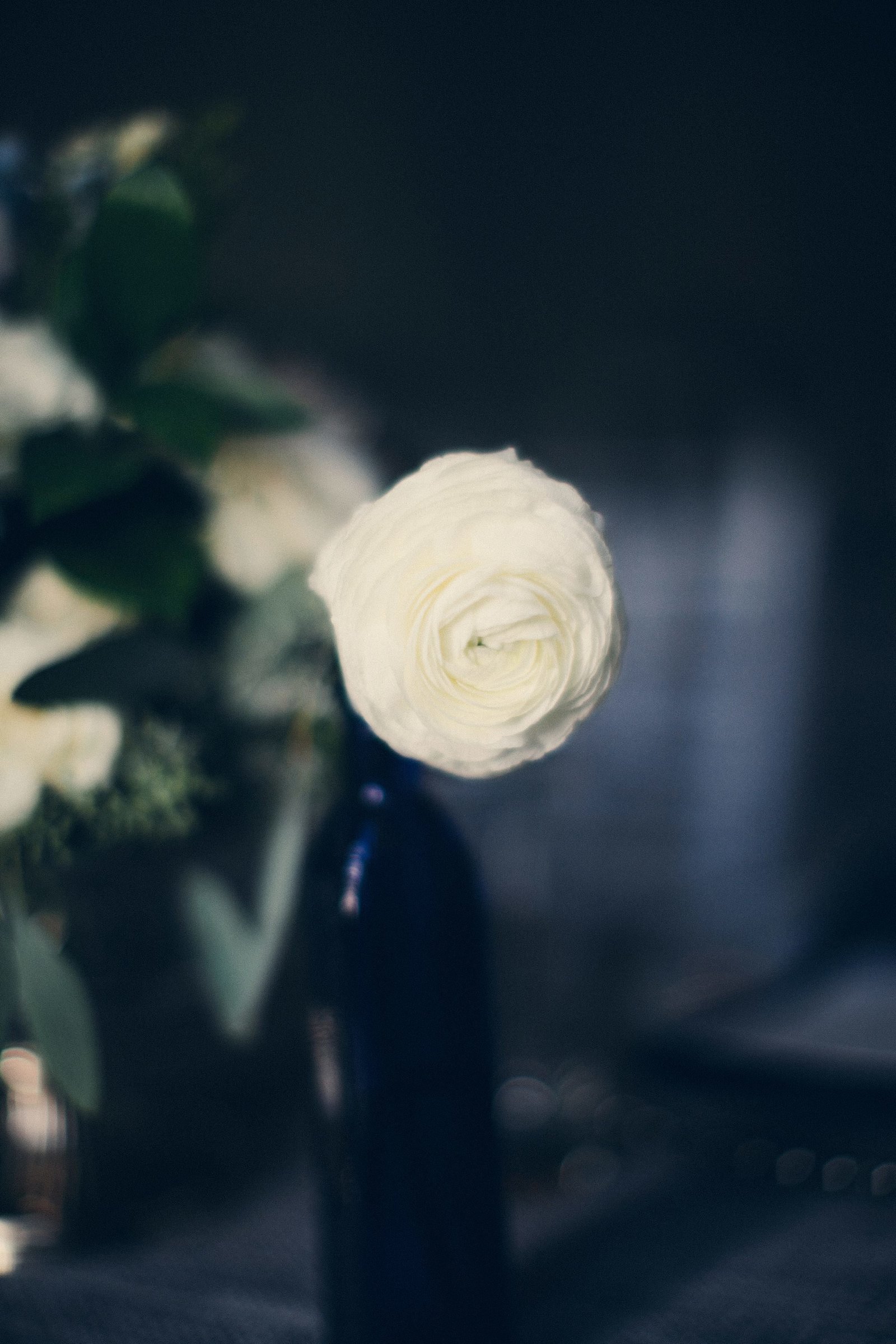romantic_navy_eolia_mansion_wedding_waterford_connecticut__0031