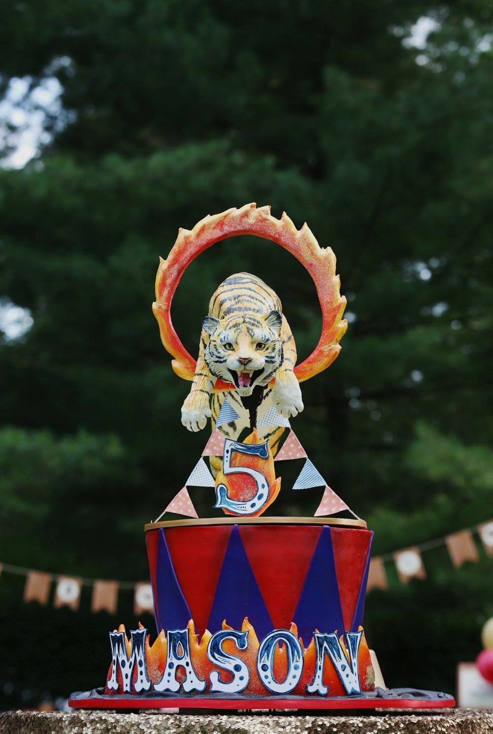 ct_party_planner_circus_birthday_0074