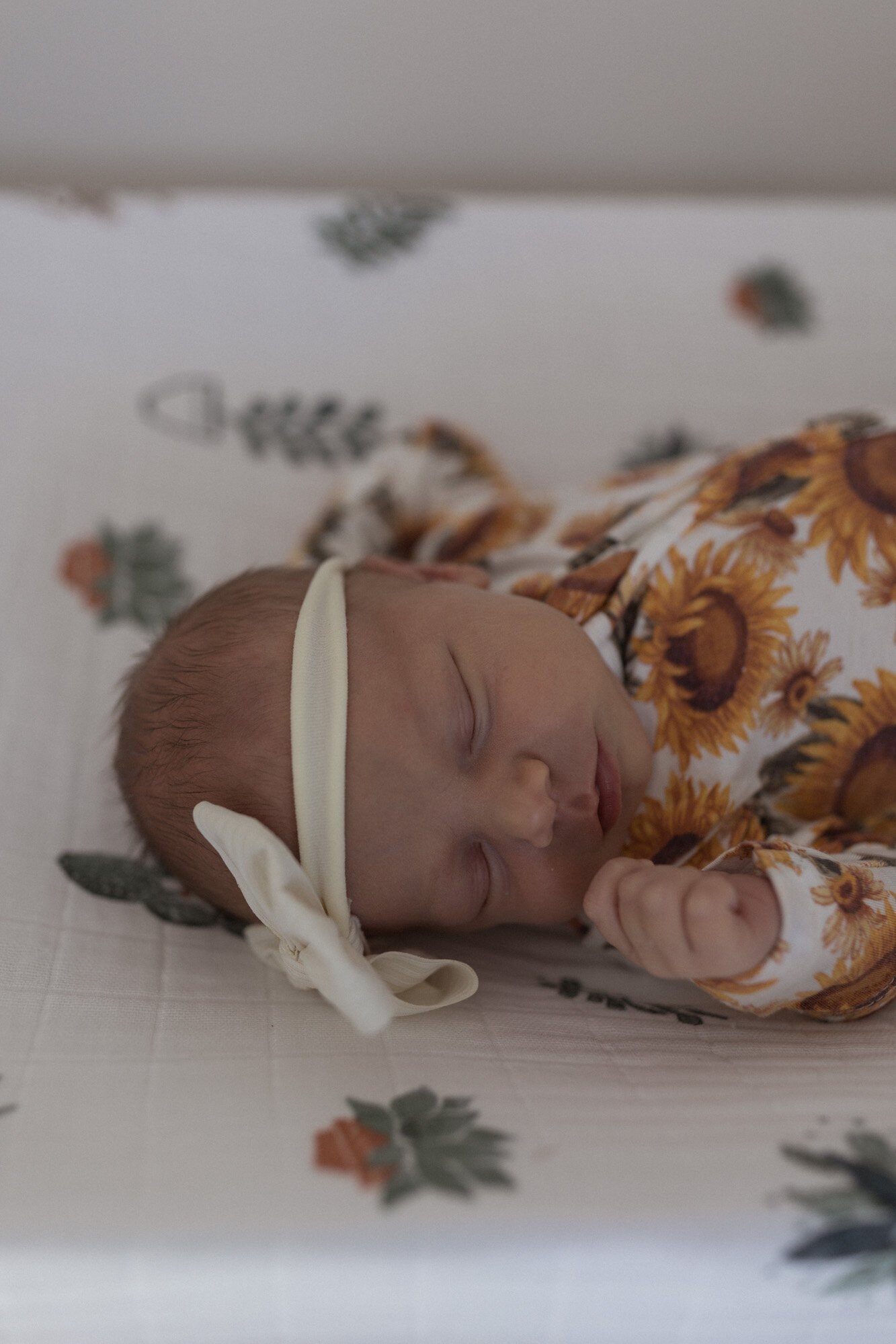 Fargo newborn in home Photo Shoot -10