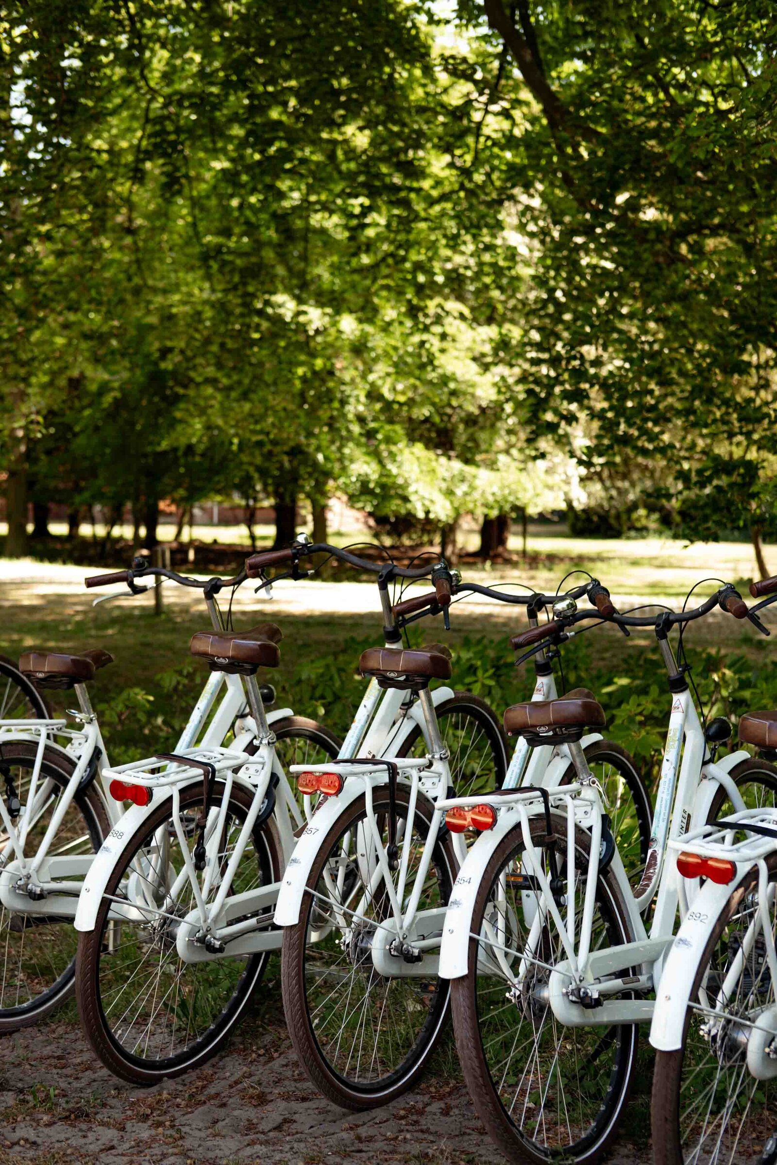 fietsen voor hotel landgoed duin en kruidberg