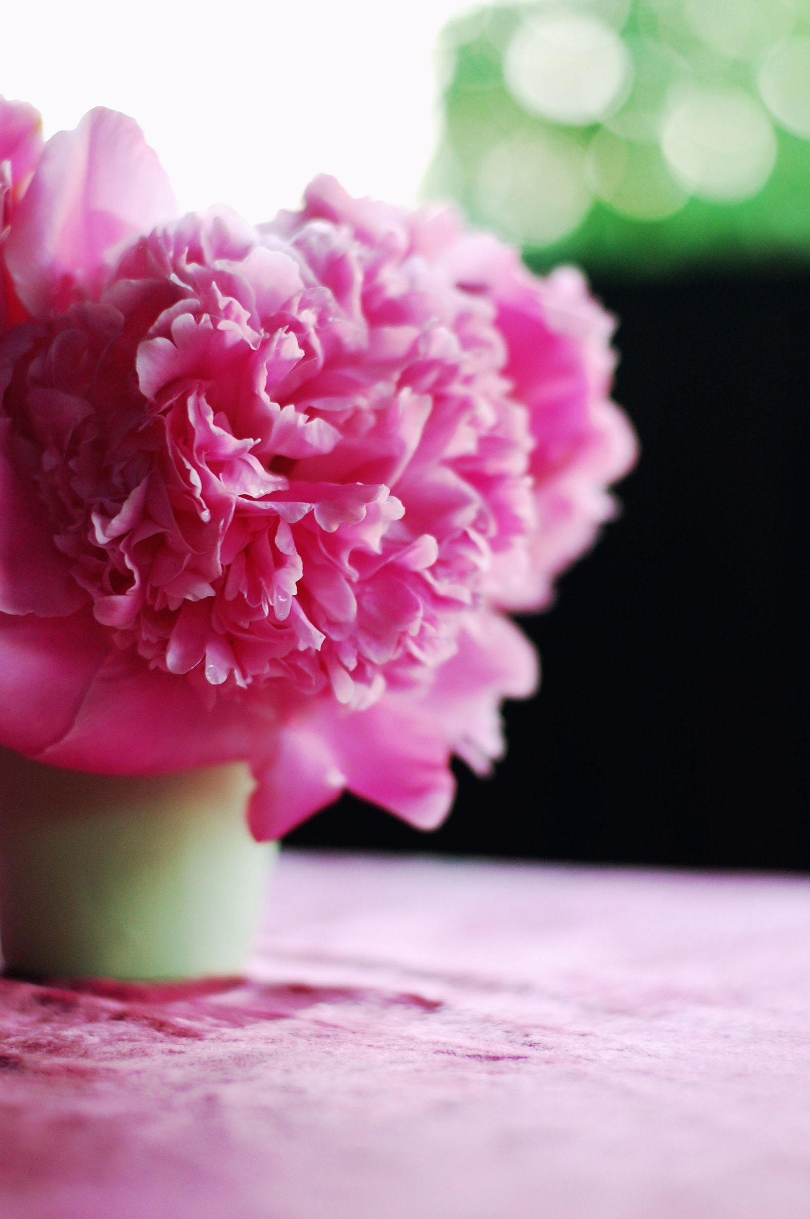 makhmutova-dina-596704-unsplash