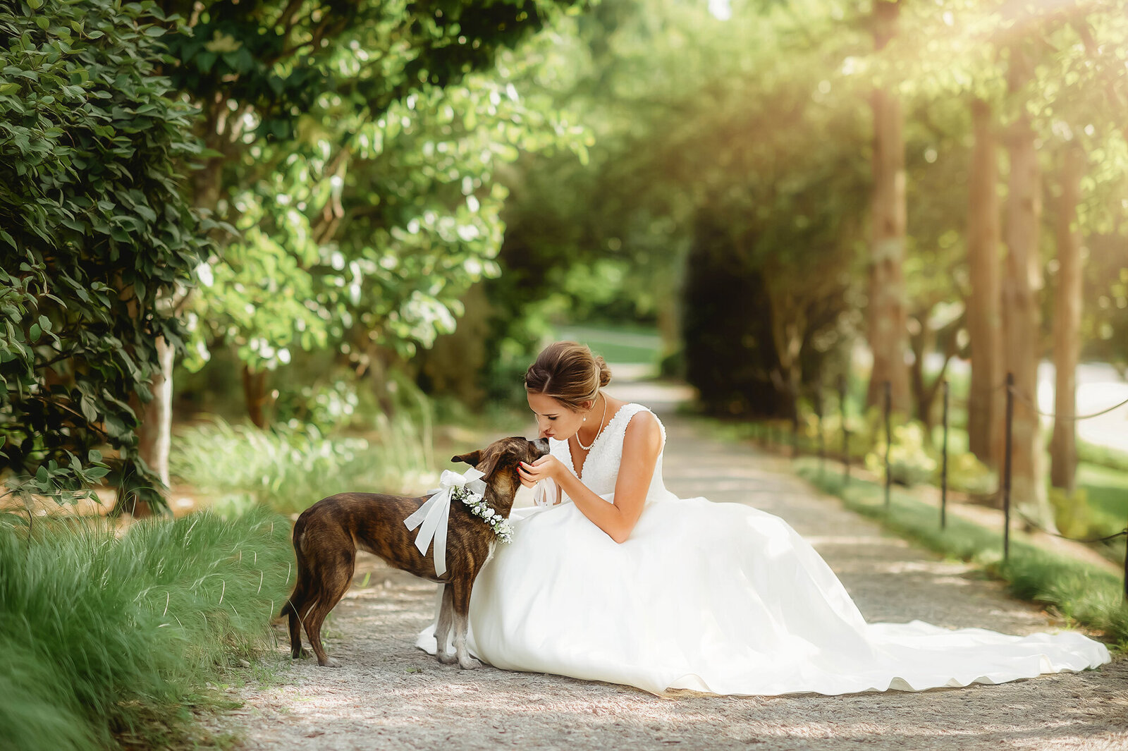 Bride kisses her dog during Bridal Portraits in Asheville, NC.