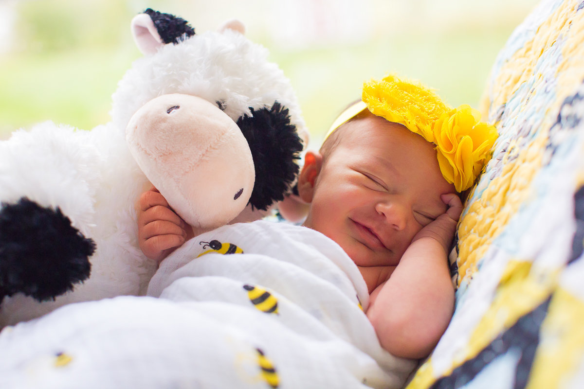 portrait photographers in frederick md-4