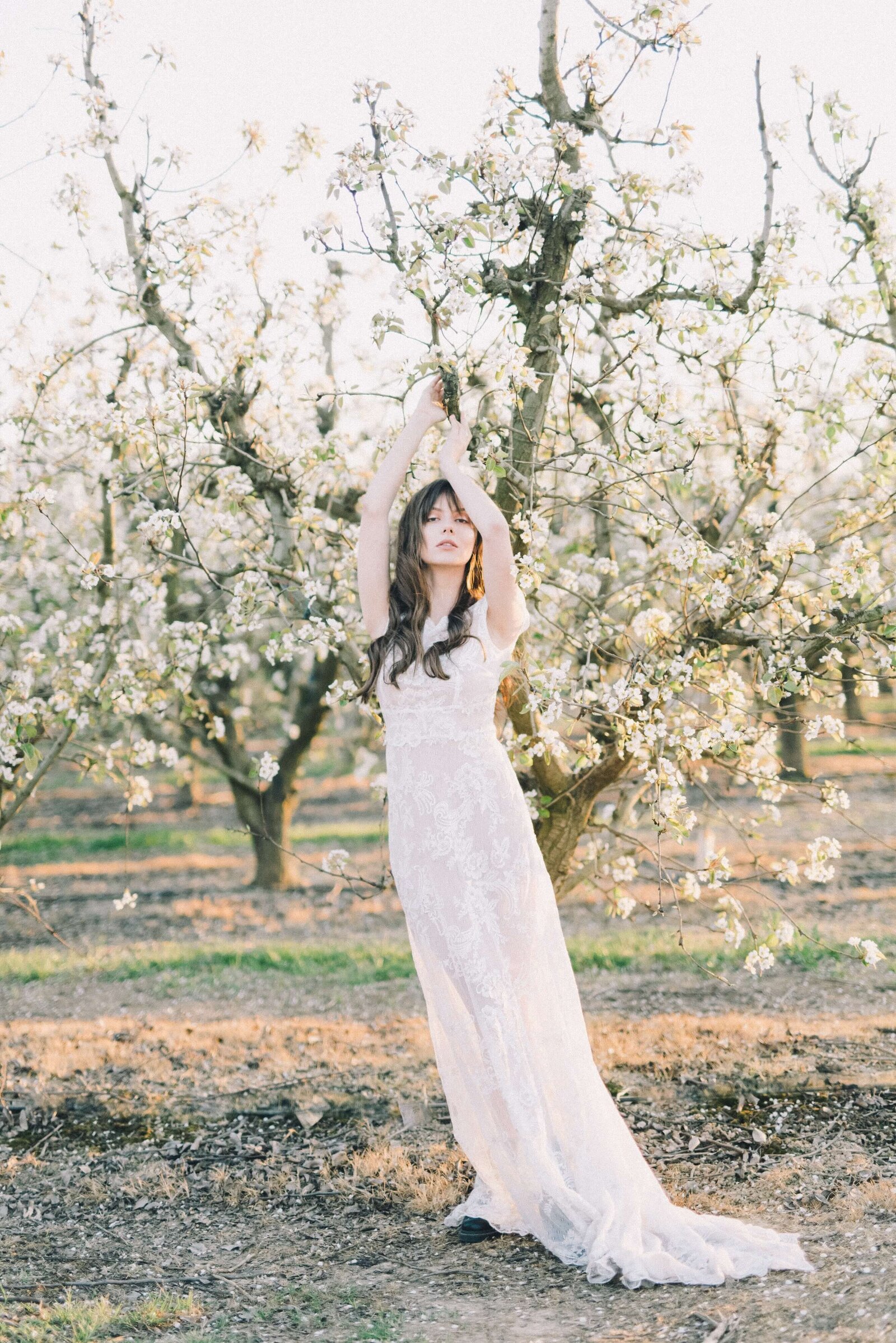 Wedding-dress-bridal-gown-store-website-template-Showit-pexels-leeloo-thefirst-4621963