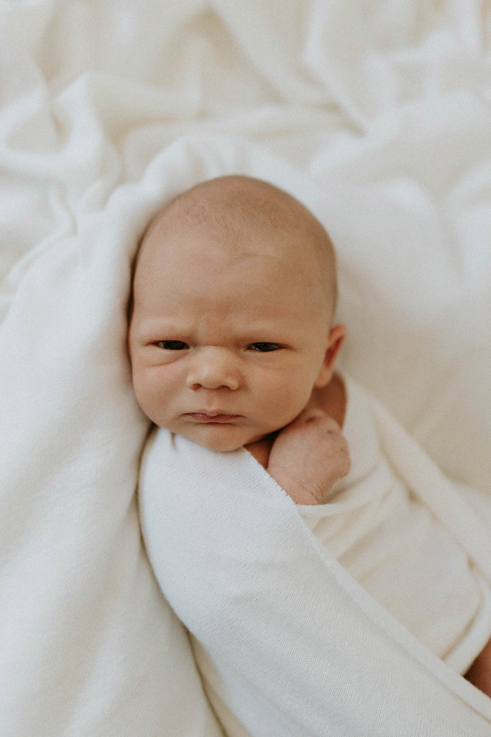 Ollie newborn photos, Triplett, Bec Dylan September 2022-43