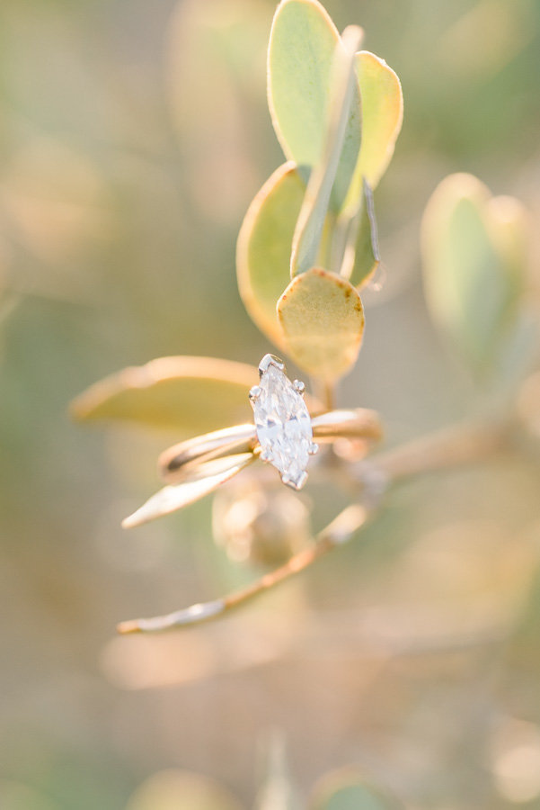 Tucson Gates Pass Engagement Session Photo of Gold Engagement Ring on a Green Plant | Tucson Wedding Photographer | West End Photography