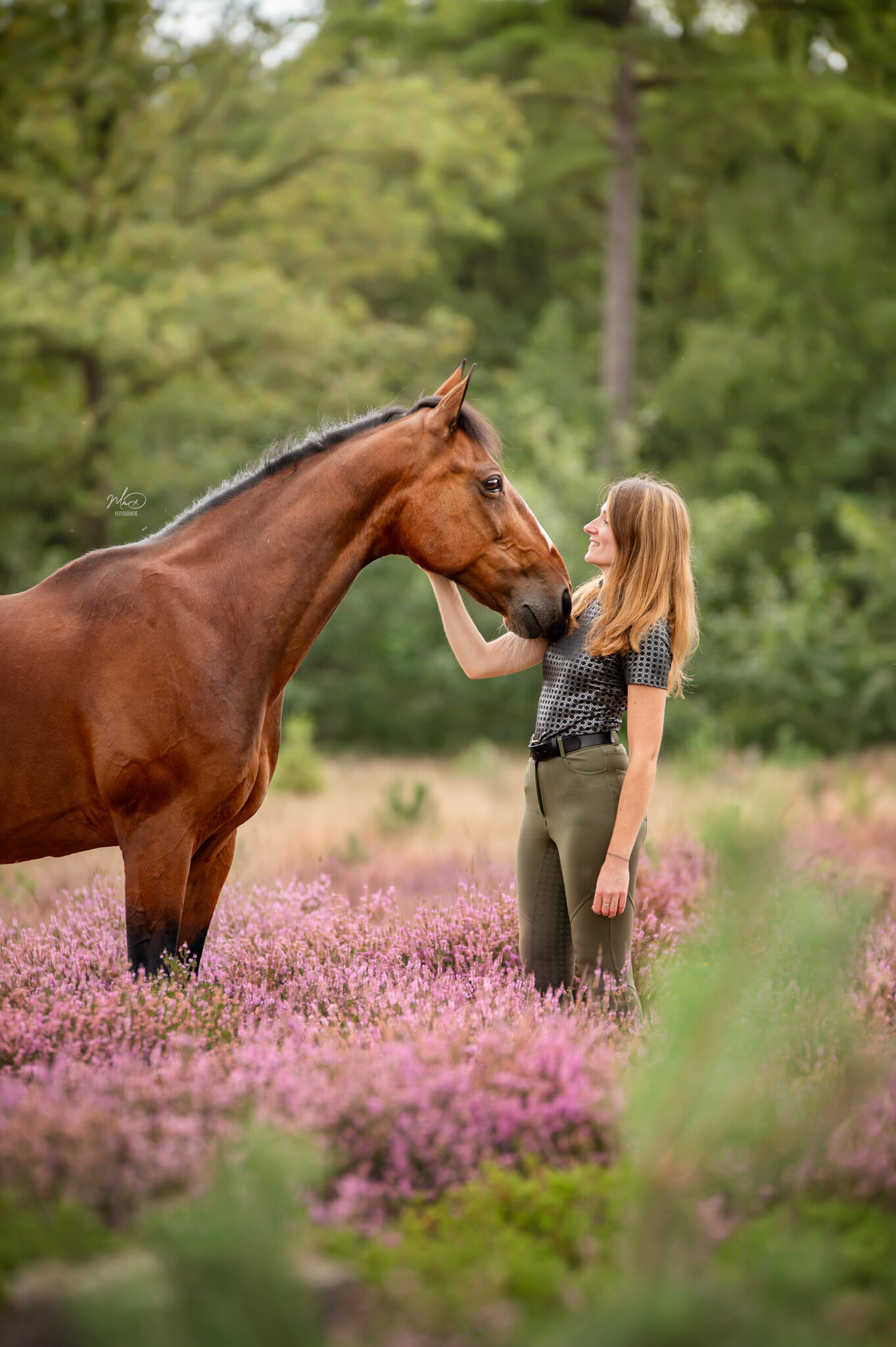 Fotoshoot paard heide friesland (3)