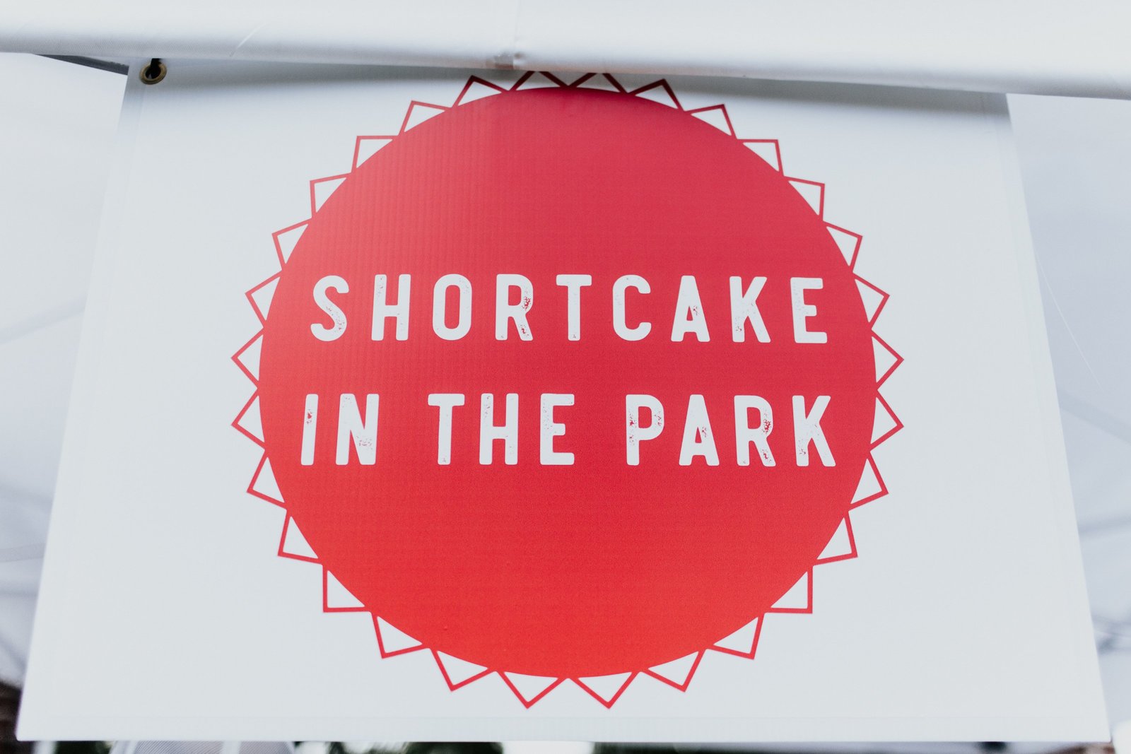 2019 West Tennessee Strawberry Festival - Shortcake in the park - 24