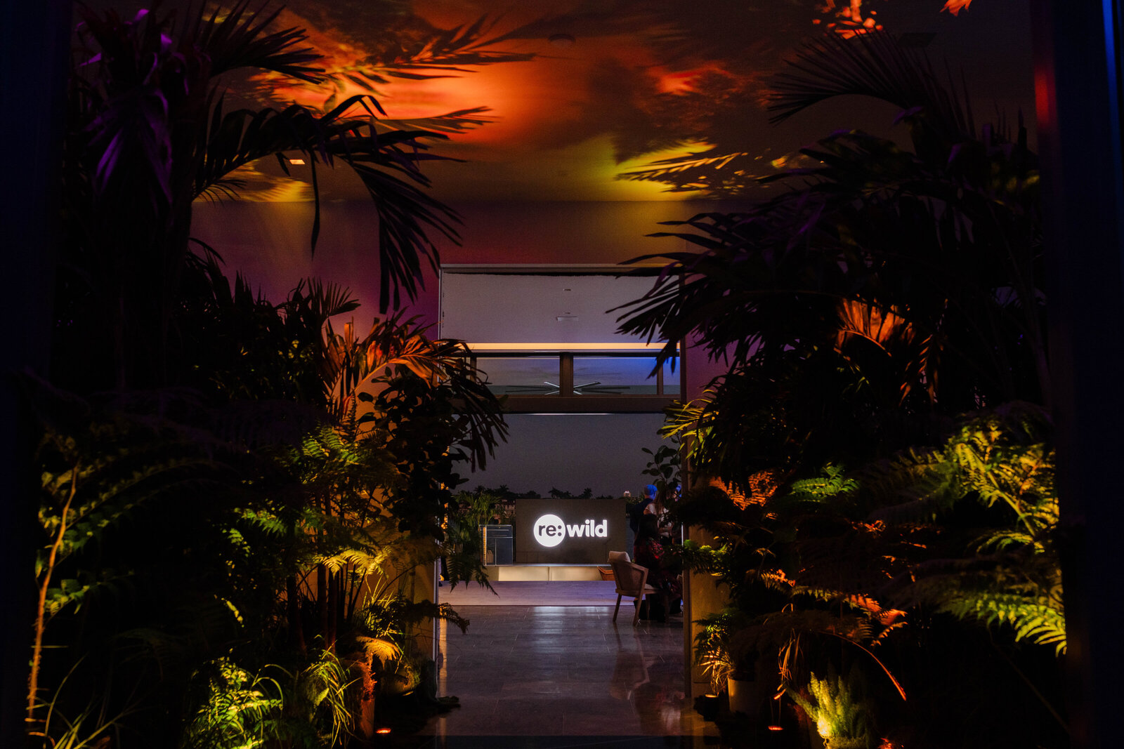 RE-WILD_MIAMI_ELISABETTARICCIO_035