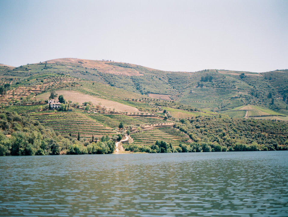 douro valley vineyards