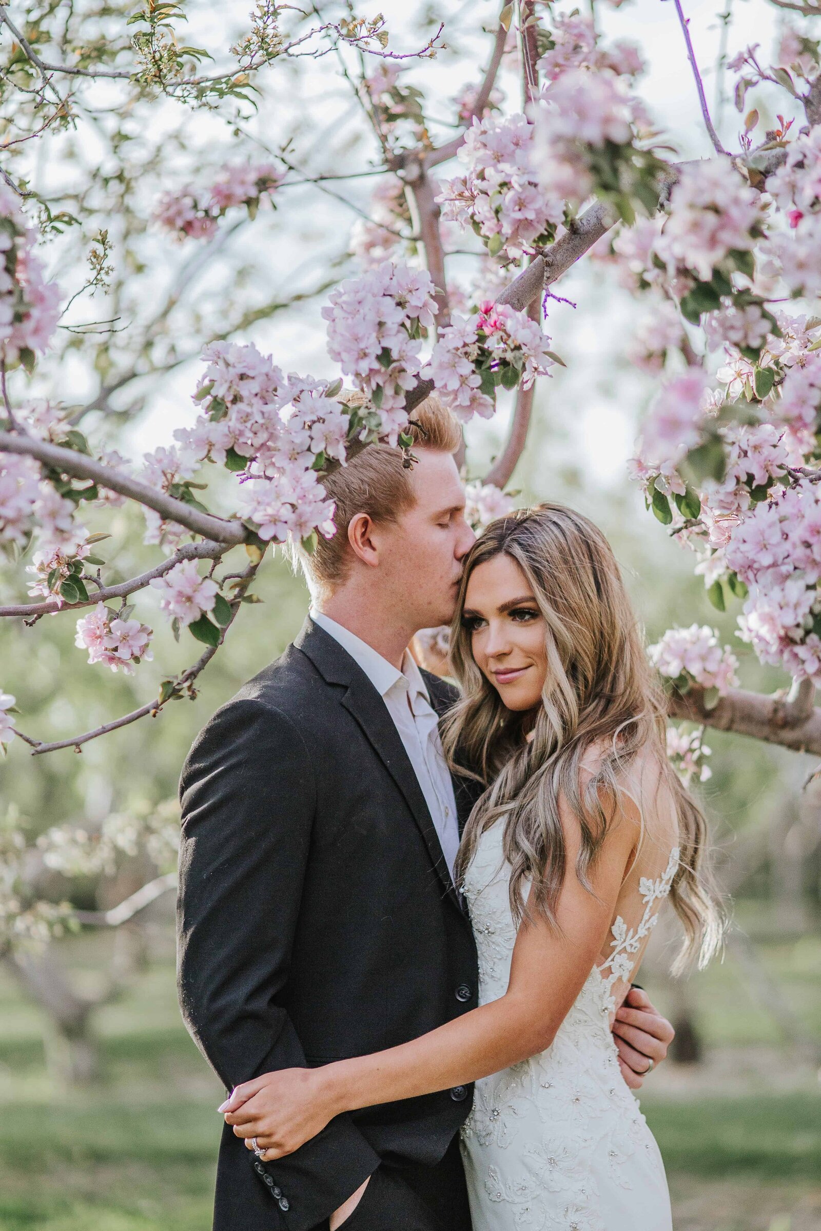 groom kissing brides forhead by tree with pink flowers in Chattanooga Tennessee