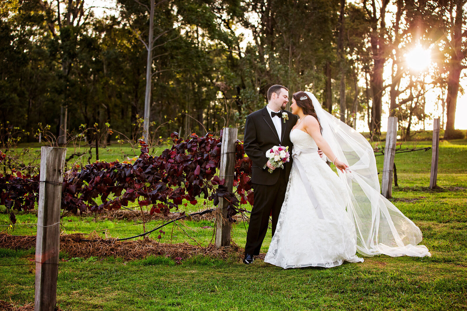 bride and groom in the vines in the hunter valley