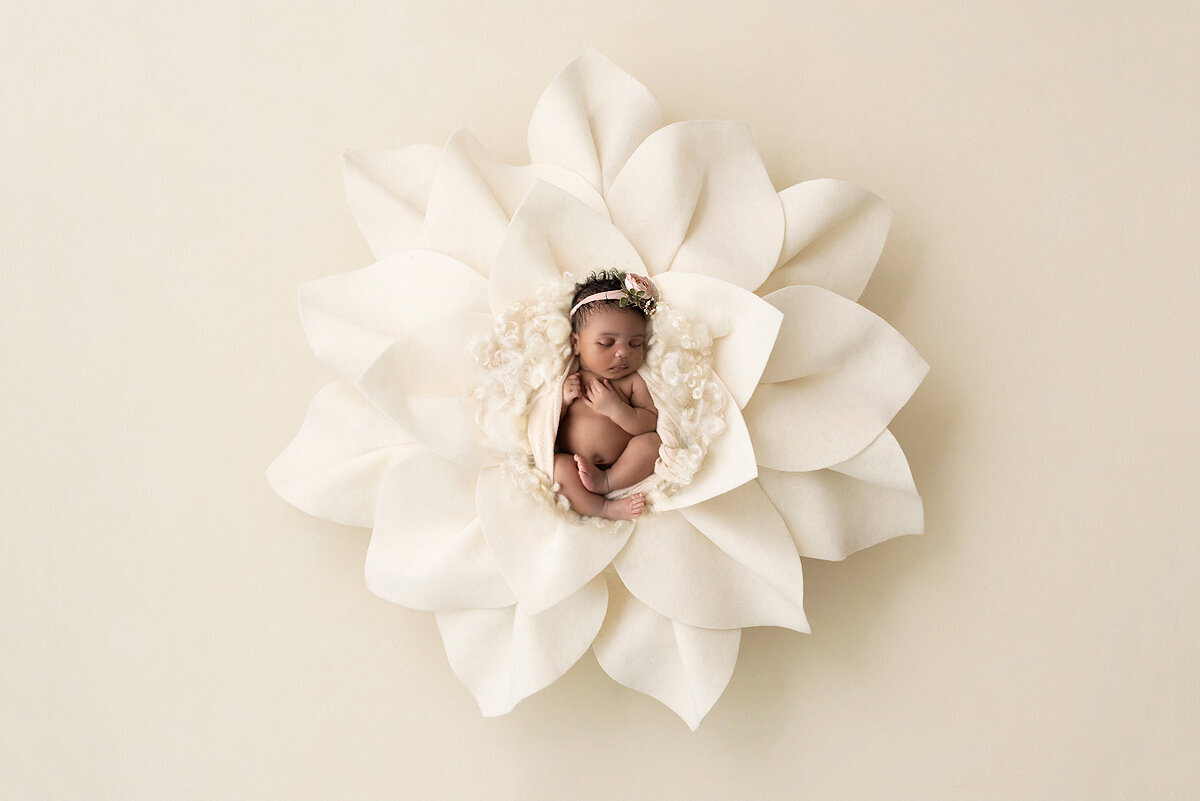 Dallas newborn photographer