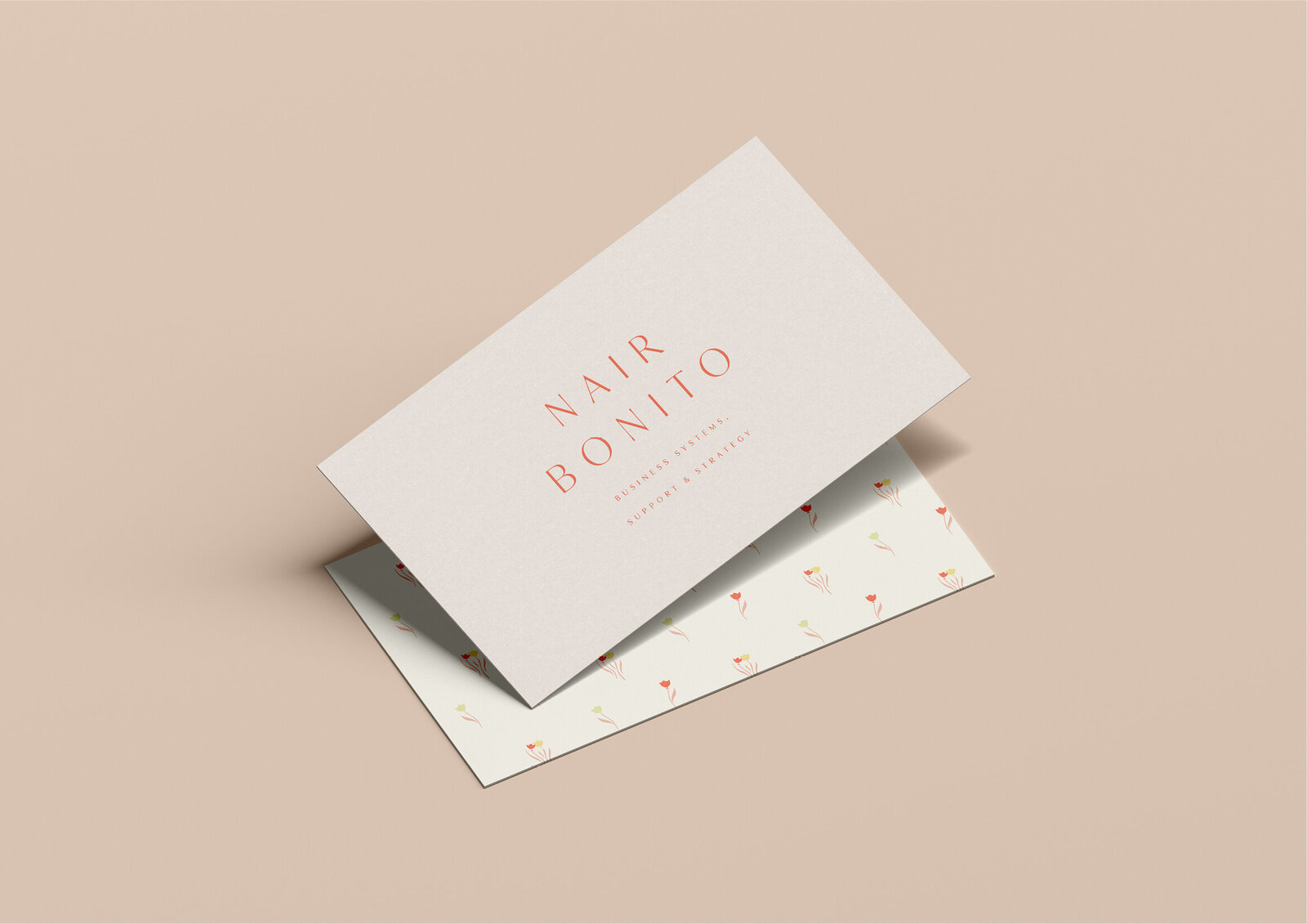 Nair Bonito - Brand Design19