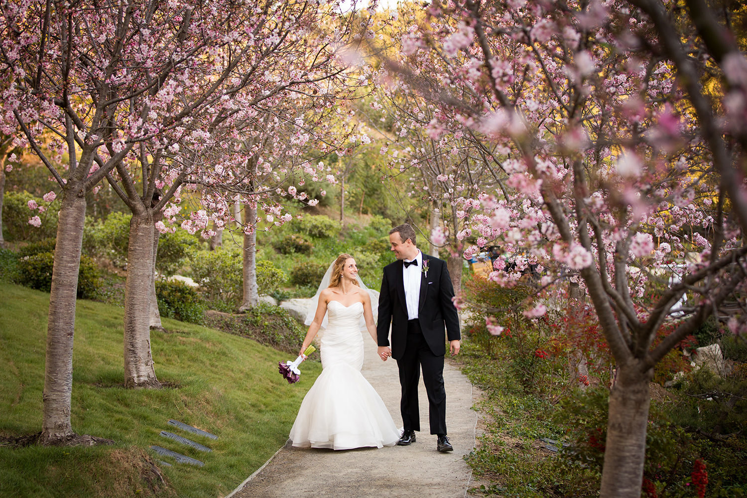 bride and groom walking through the cherry blossom trees