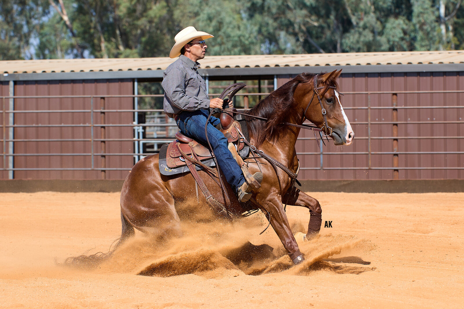 James Ferreira Horse Training