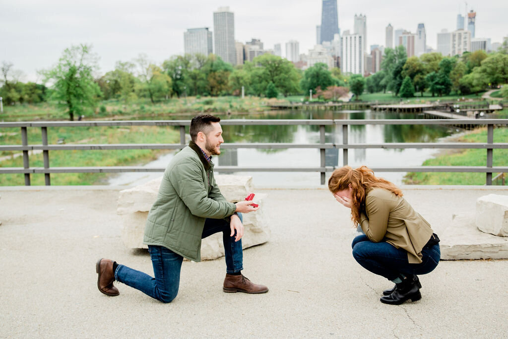 summer marriage proposal  in Lincoln park
