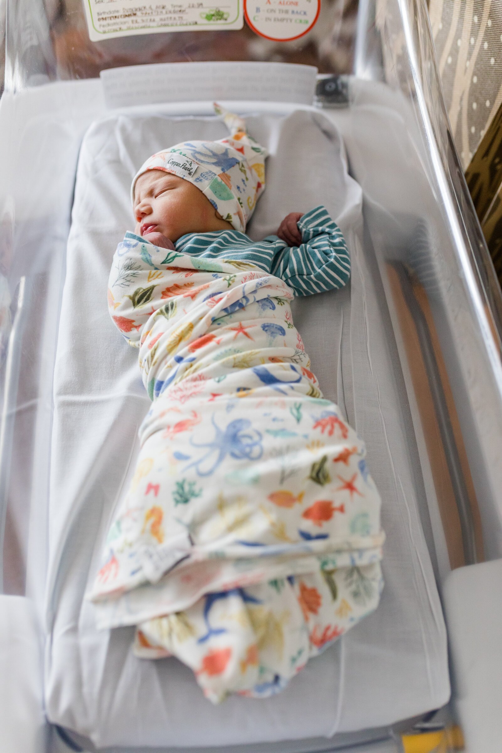 Fresh 48 newborn photos in hospital
