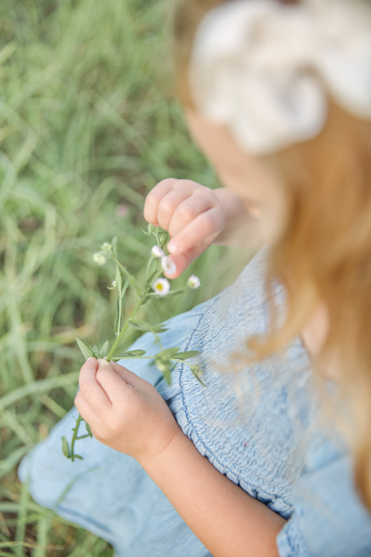 Little girl playing with flowers at a family session in mount vernon ohio