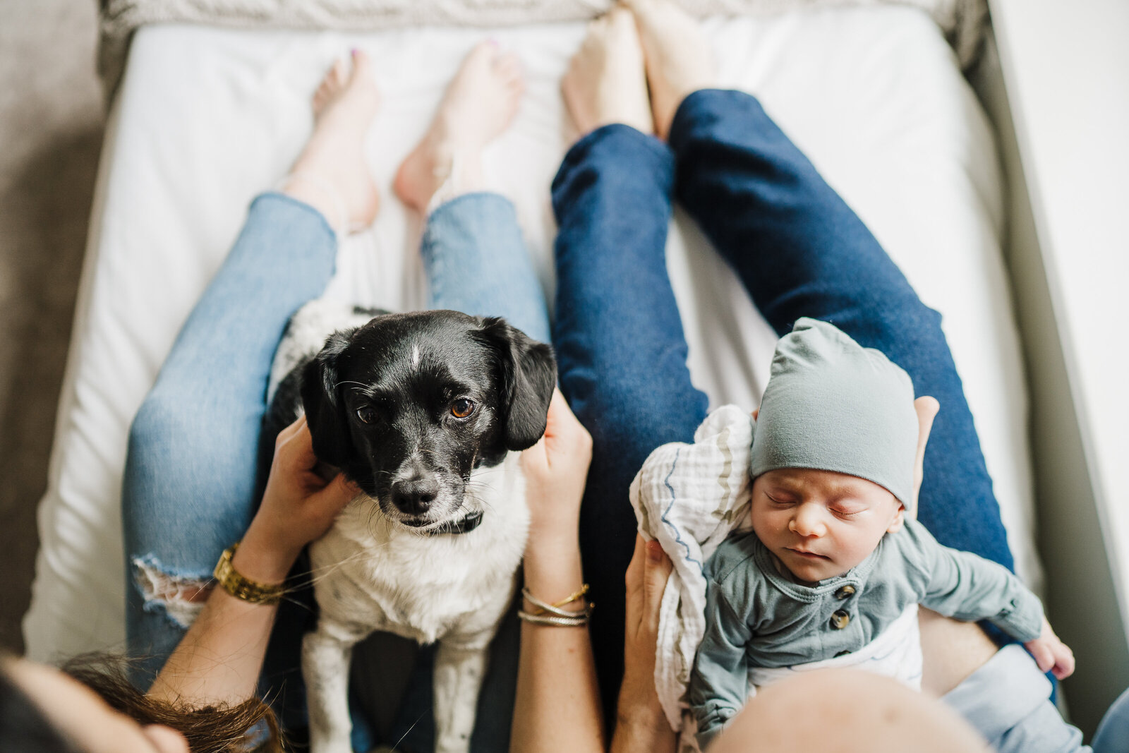 baby boy and dog look at camera in parents laps