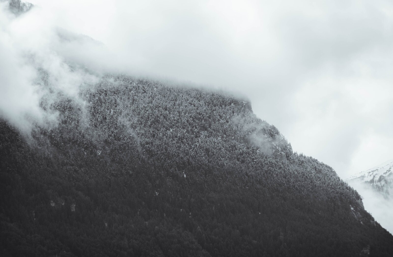 tom-morel-UvsE2Xu6qo4-unsplash