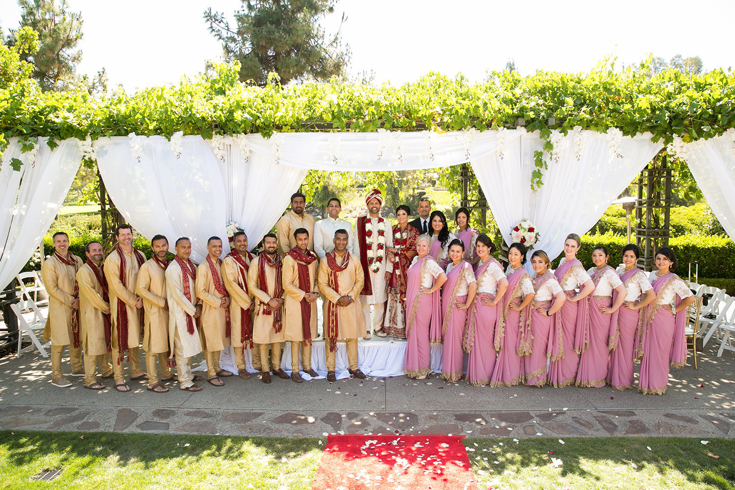 Large wedding party portrait at an Indian Wedding