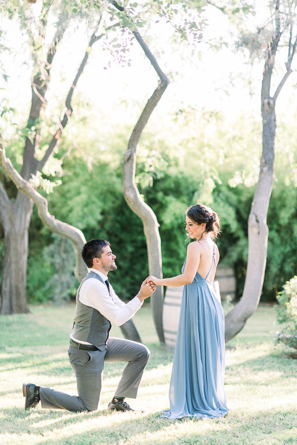 Medella Vina Tucson Surprise Proposal of Couple Wearing Dusky Blue Dress and Gray Suit | Tucson Wedding Photographer | West End Photography