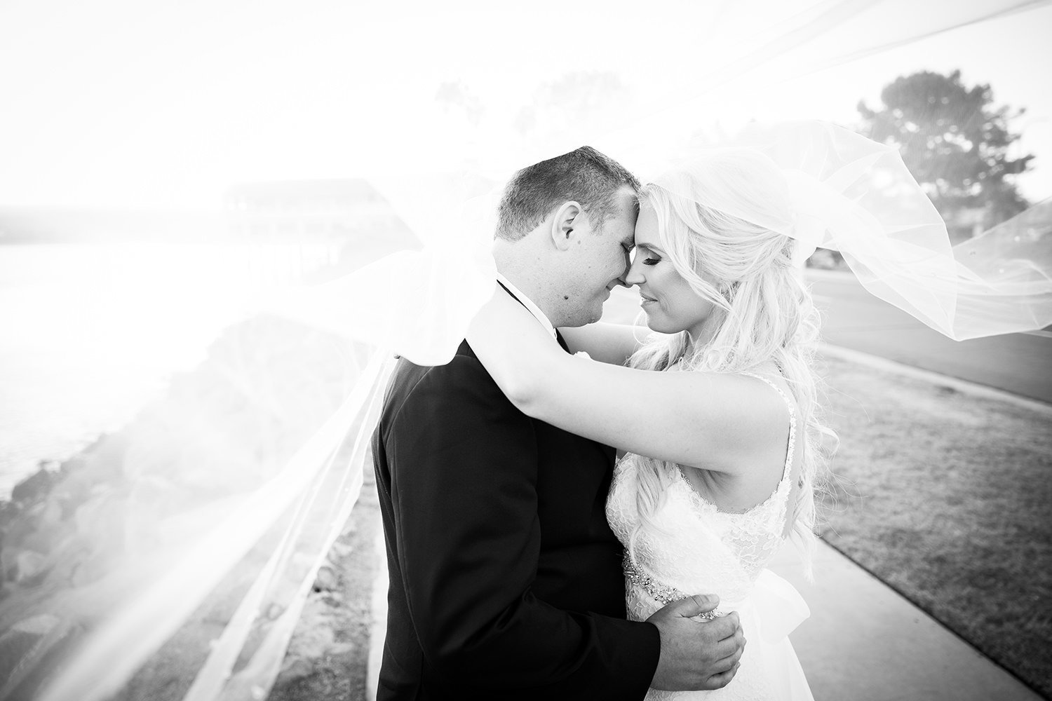 beautiful black and white of bride and groom and veil over both