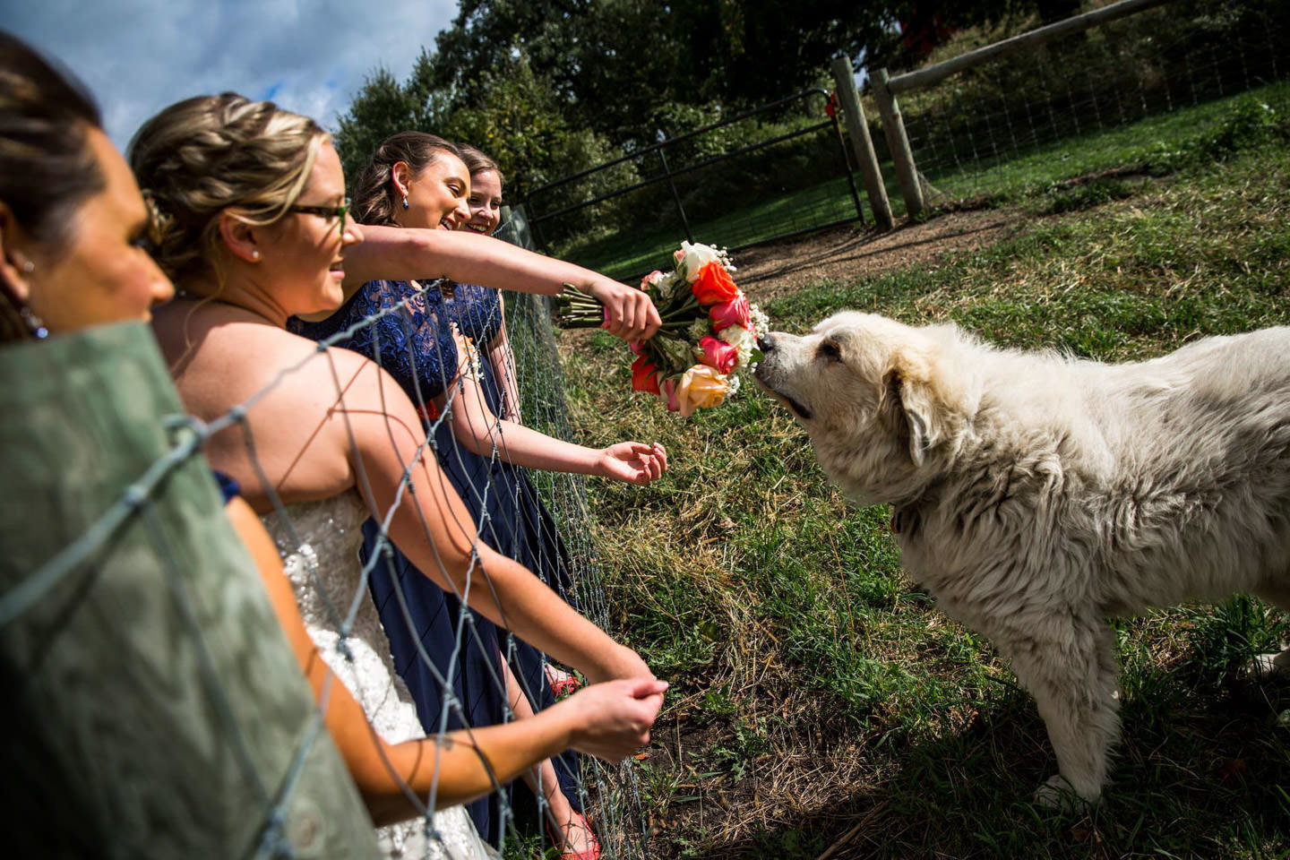 bride letting dog smell her bridal bouquet