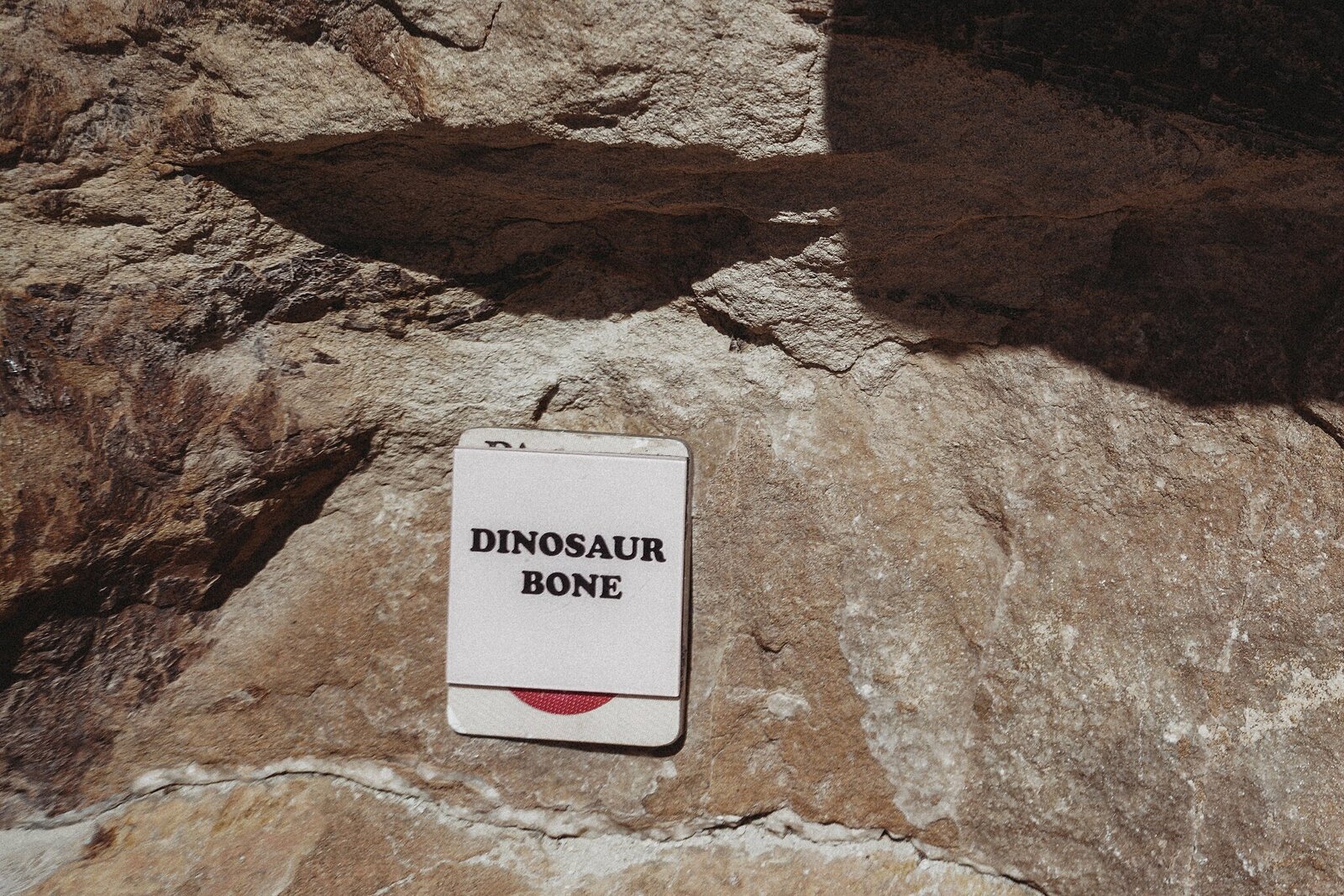 Dinosaur-Ridge_0373