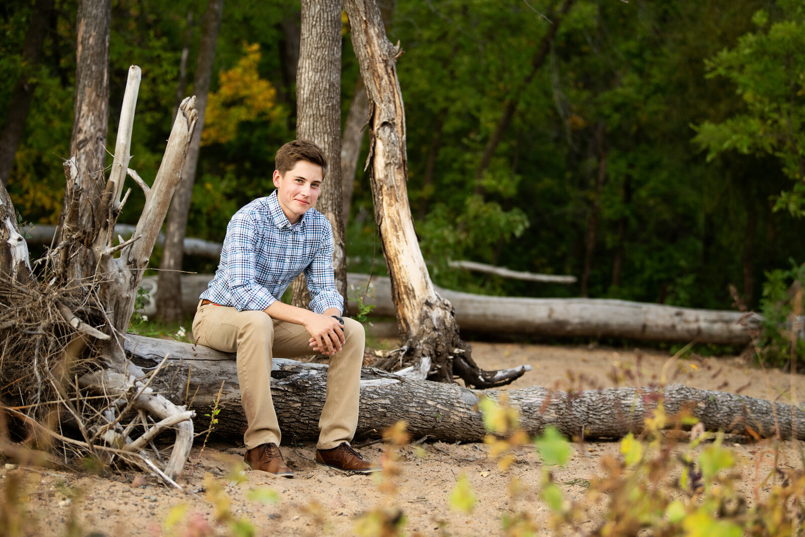 White Bear Lake Minnesota senior photo of boy sitting on a tree in nature