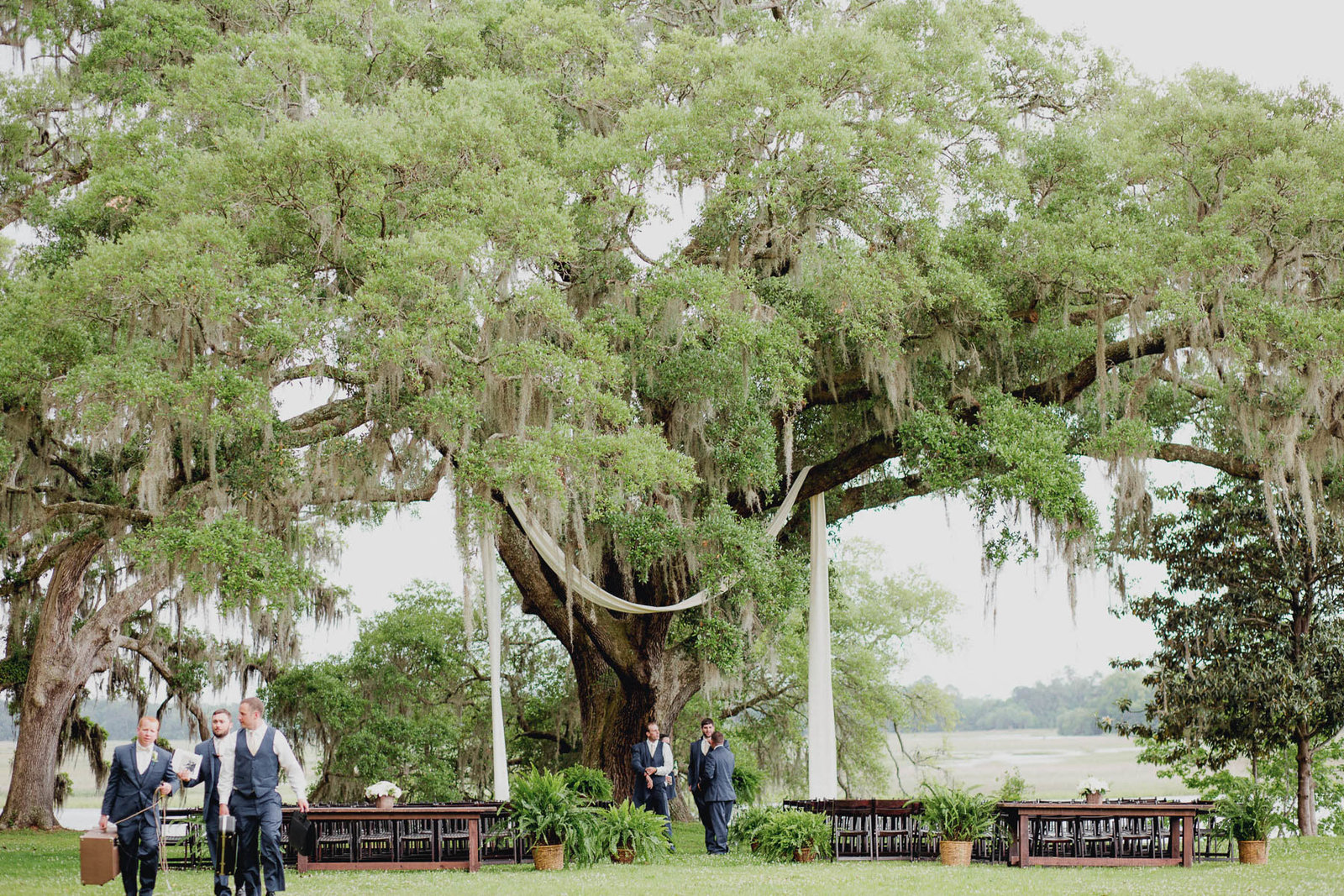 Ceremony site is set up under oak tree, Old Wide Awake Plantation, Charleston, South Carolina