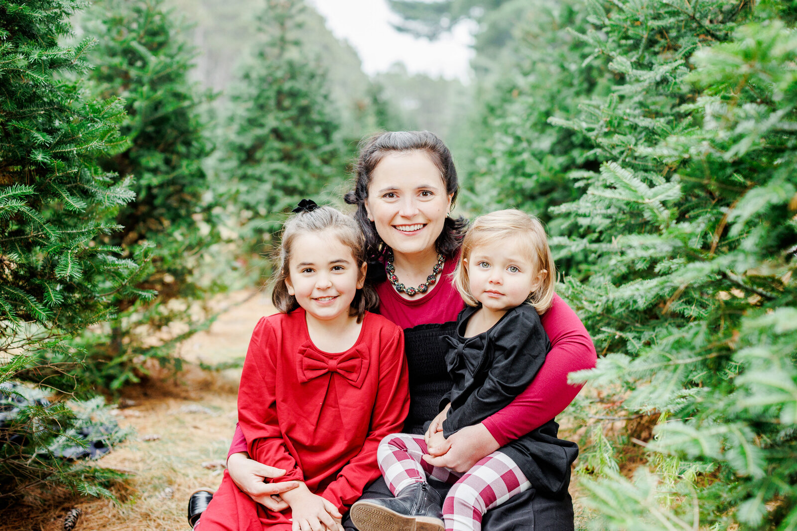 Hansen-Tree-Farm-MN-Mini-Family-Session-2022-012