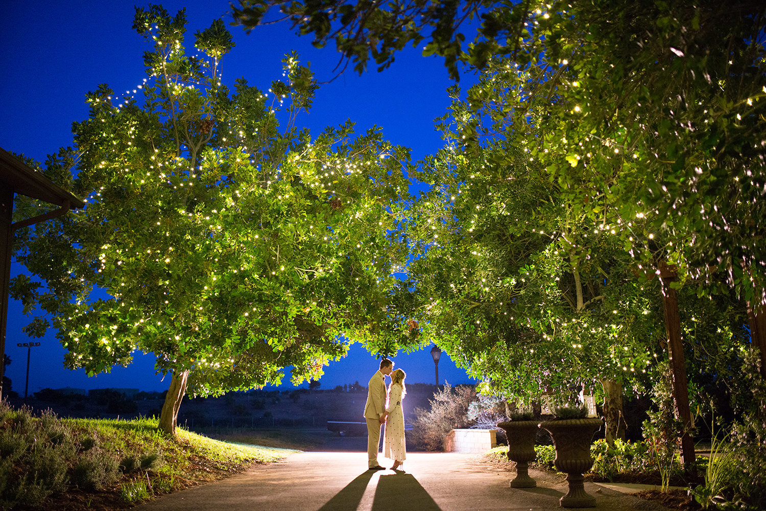 night image of bride and groom with beautiful trees