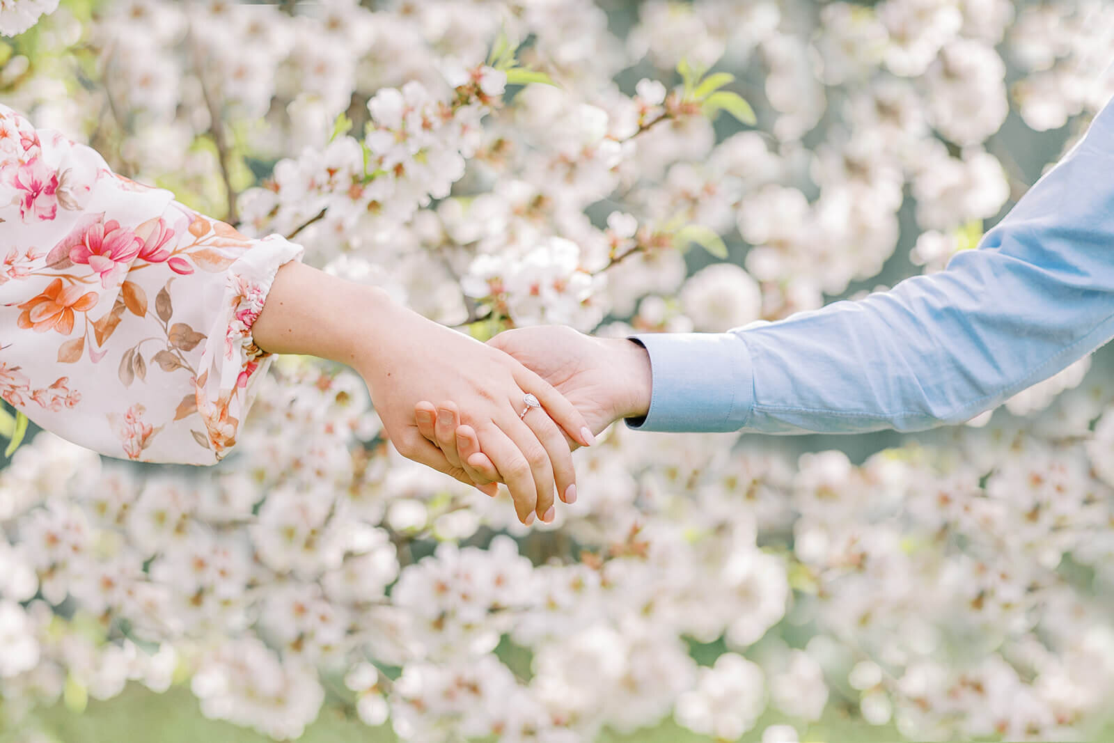 A bright and airy photo of couple holding hands with flowers field backdrop in Brisbane.