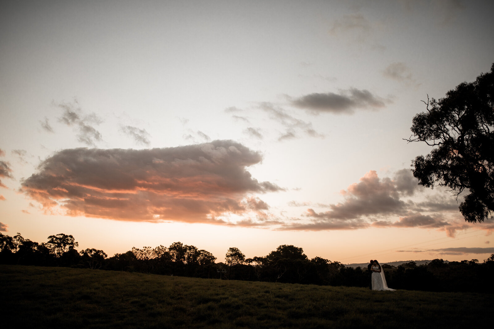 Jazmyn-Thomas-Rexvil-Photography-Adelaide-Wedding-Photographer-484