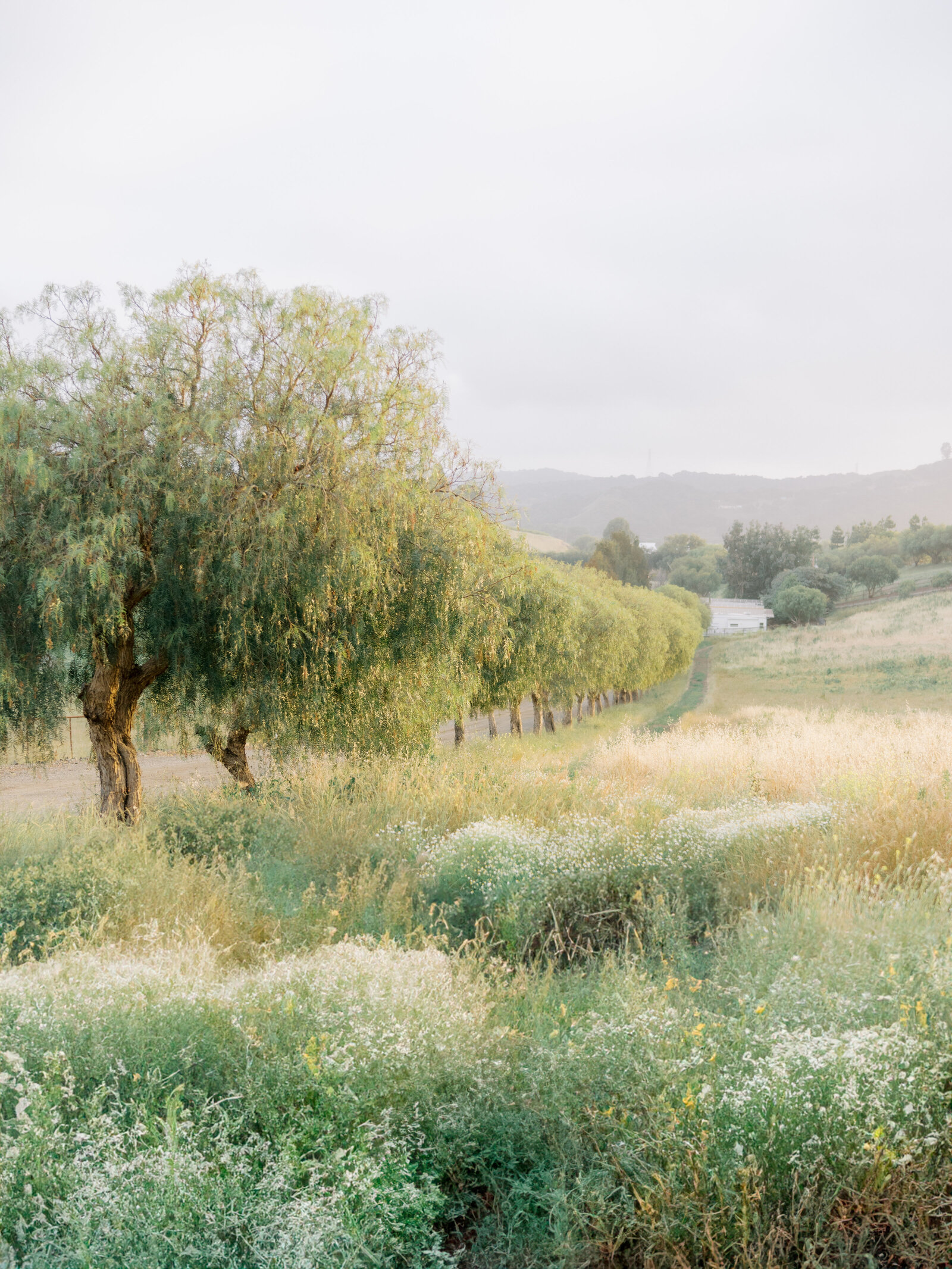 untitled-03328-Edit