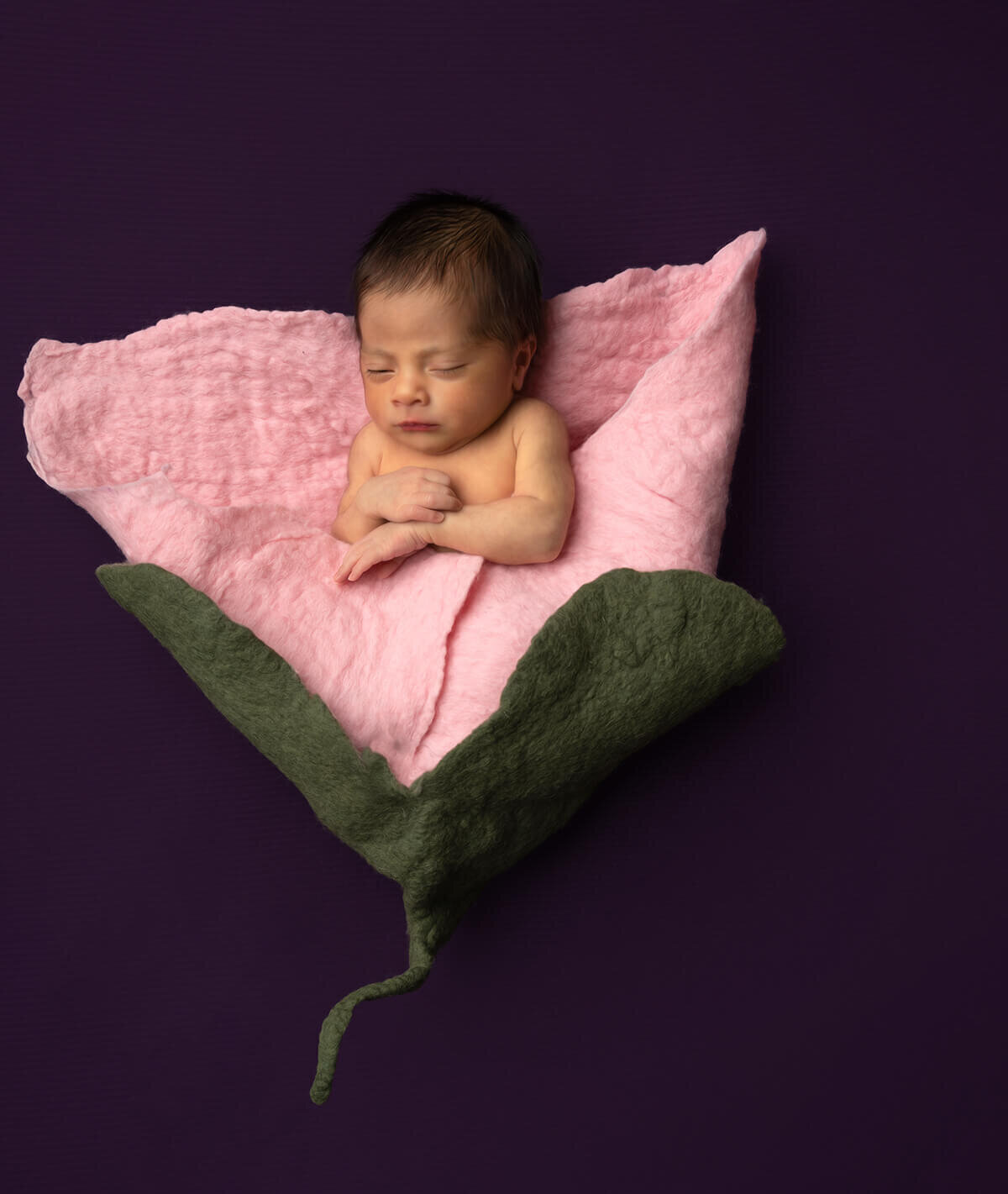 newborn baby laying in a flower petal