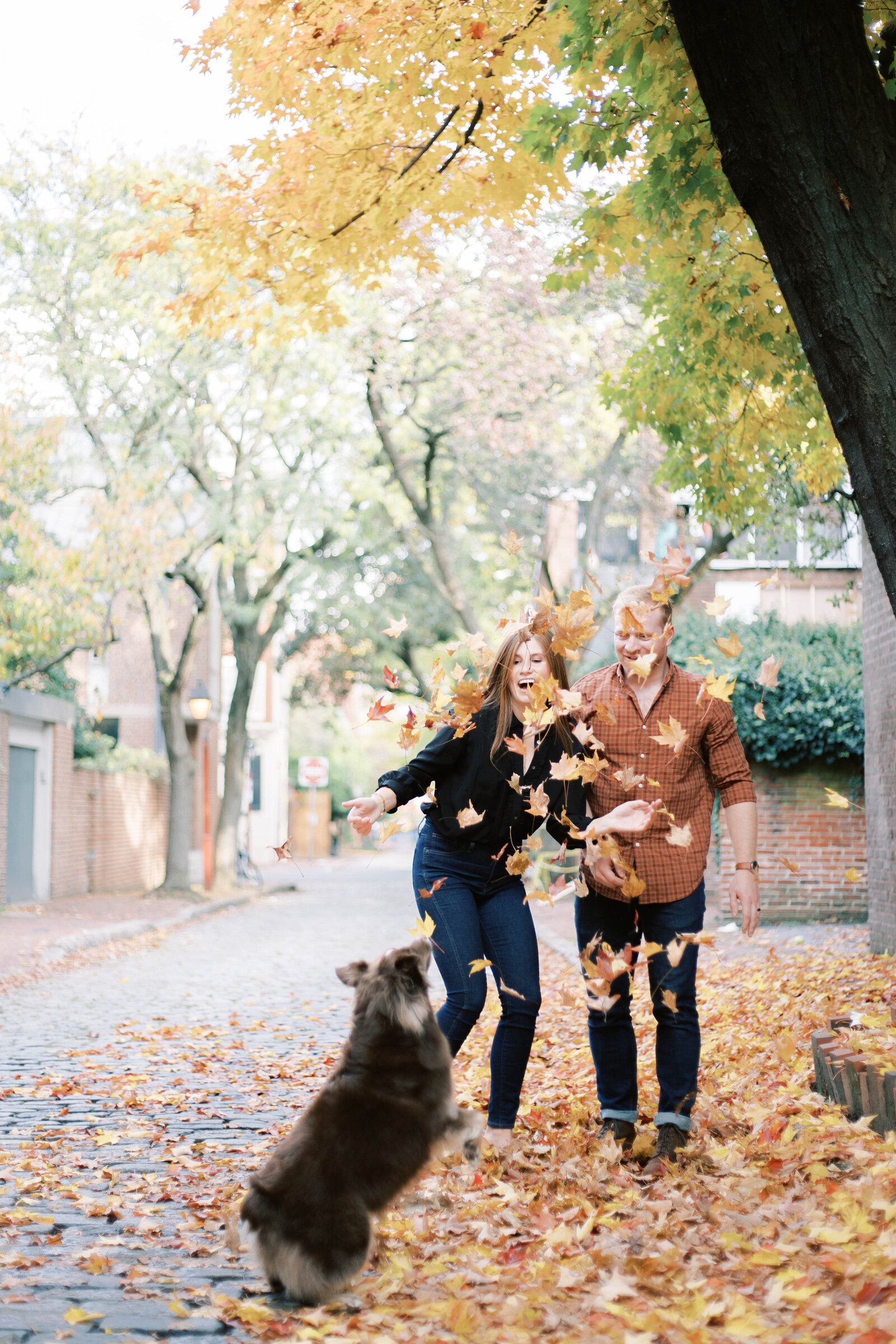 websiteupdate-8