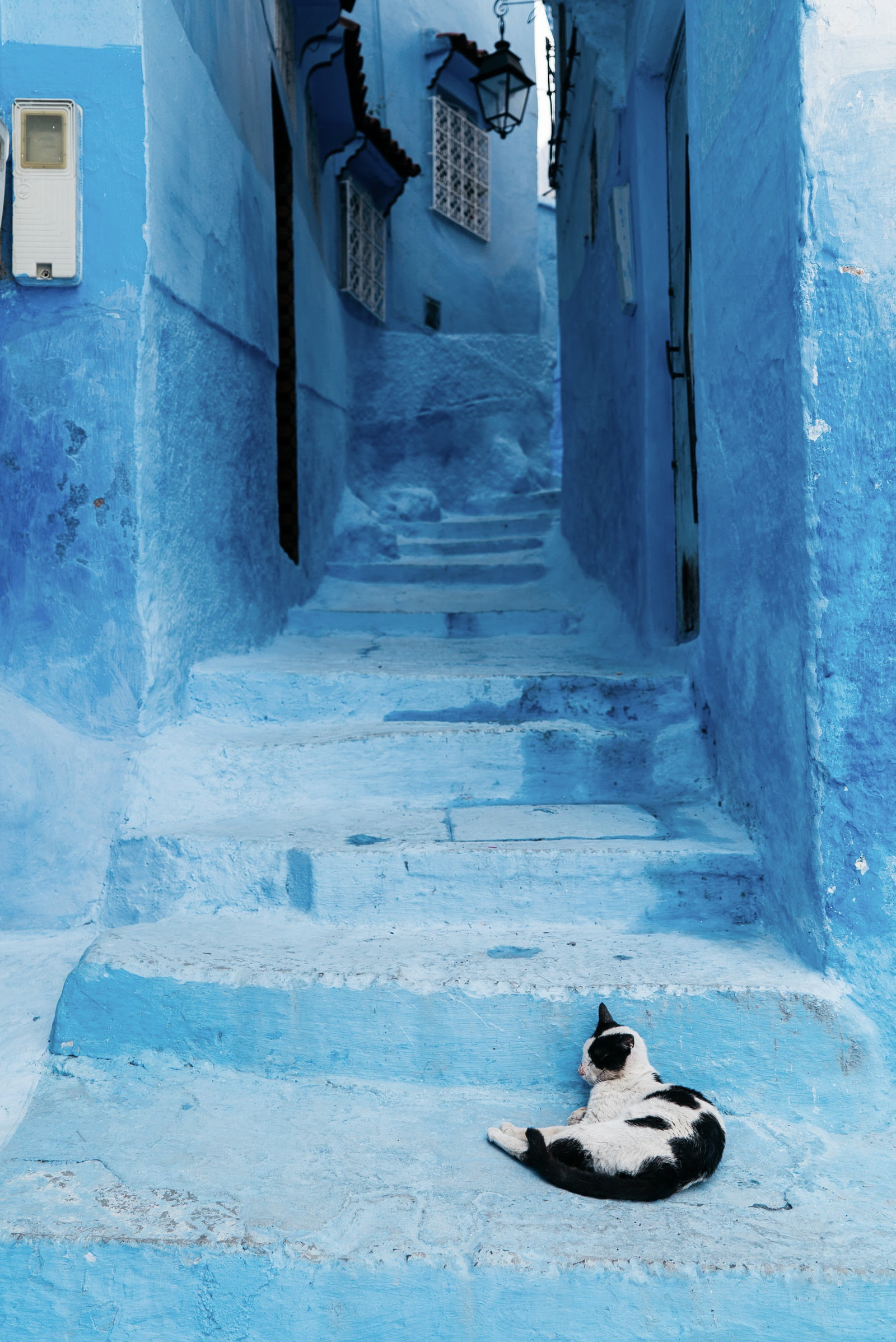 Sasha_Reiko_Photography_Travel_Morocco-72